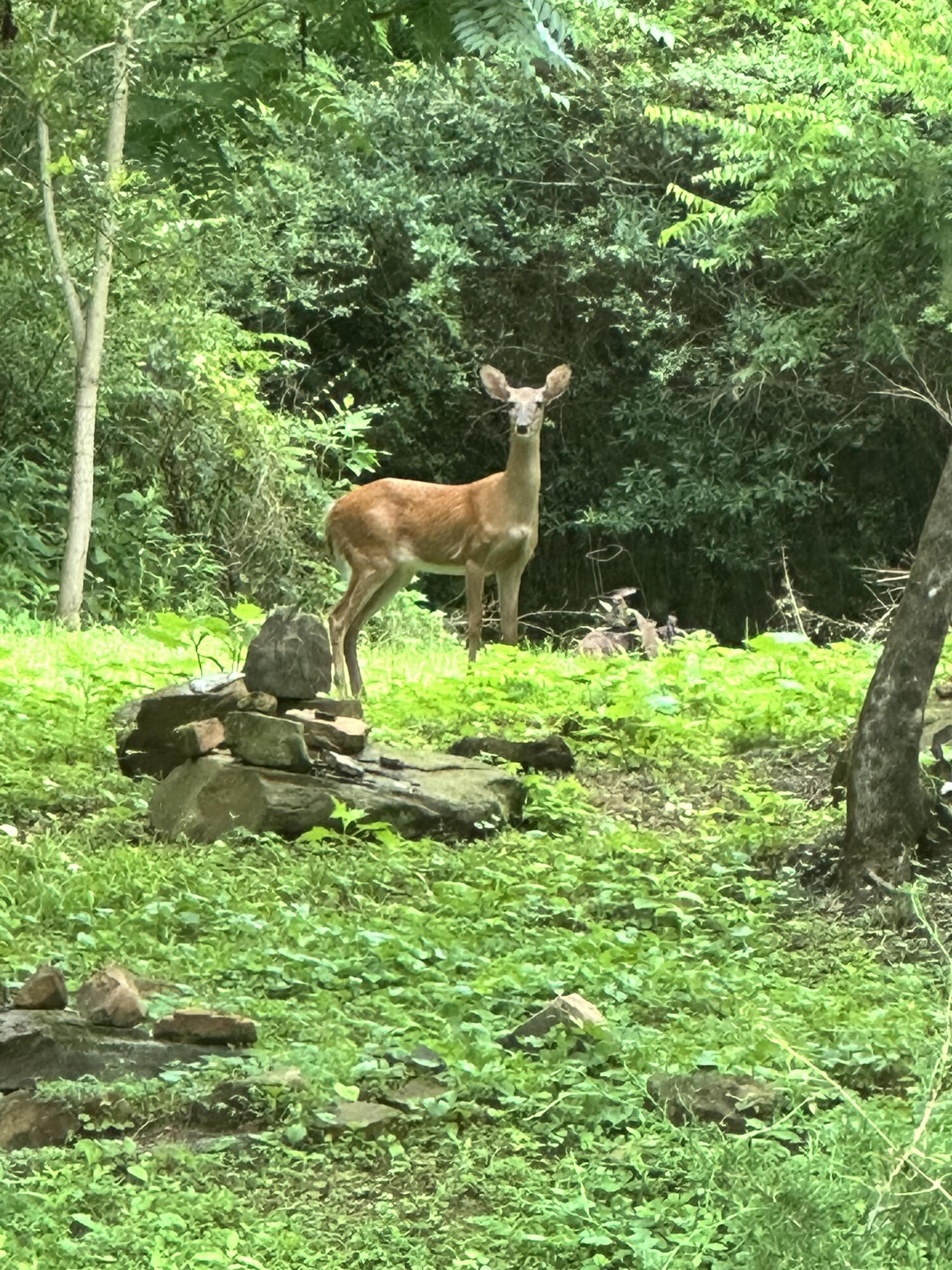 21010 River Canyon Road