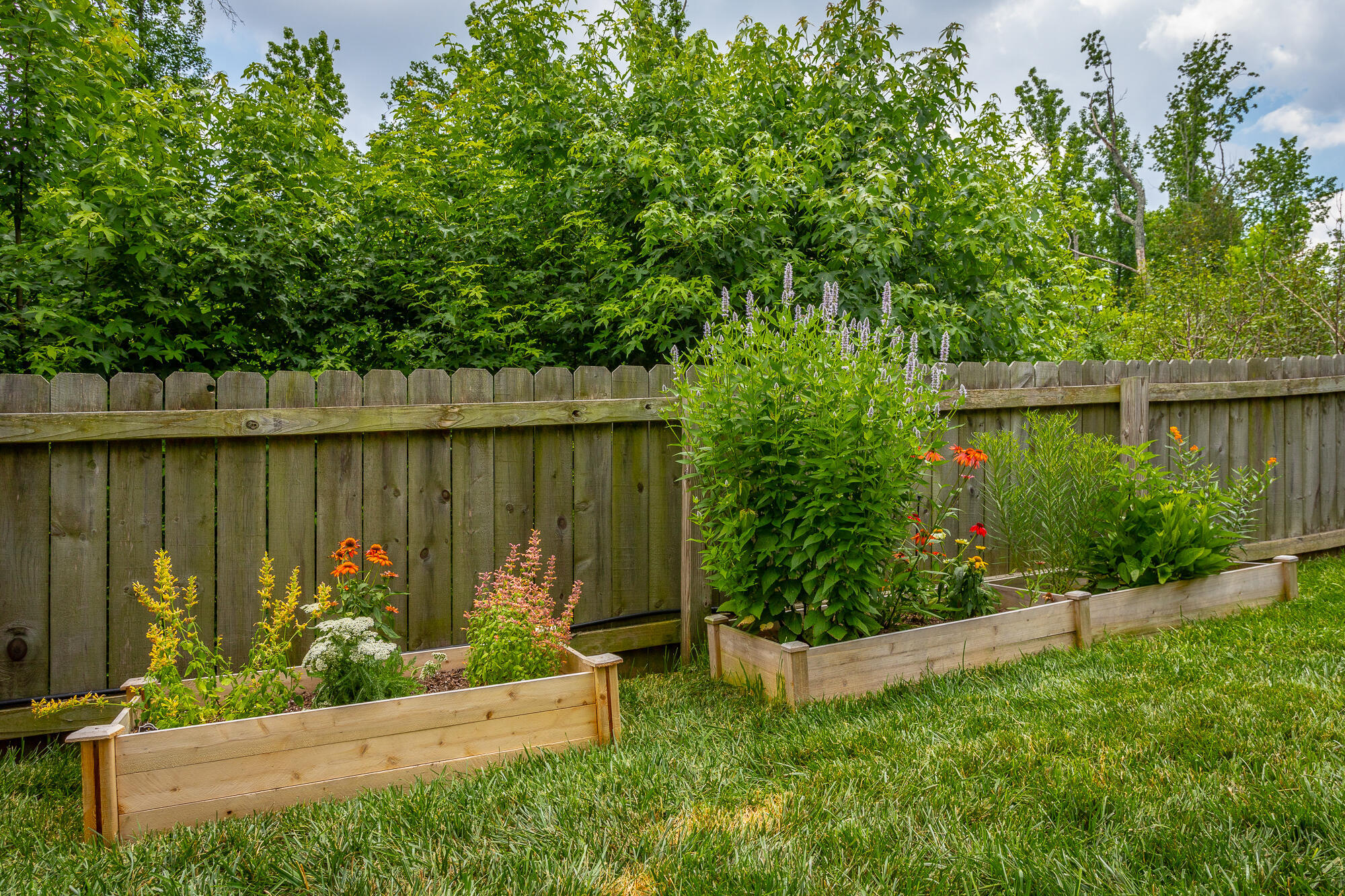 1758 Seven Pines Lane, 31