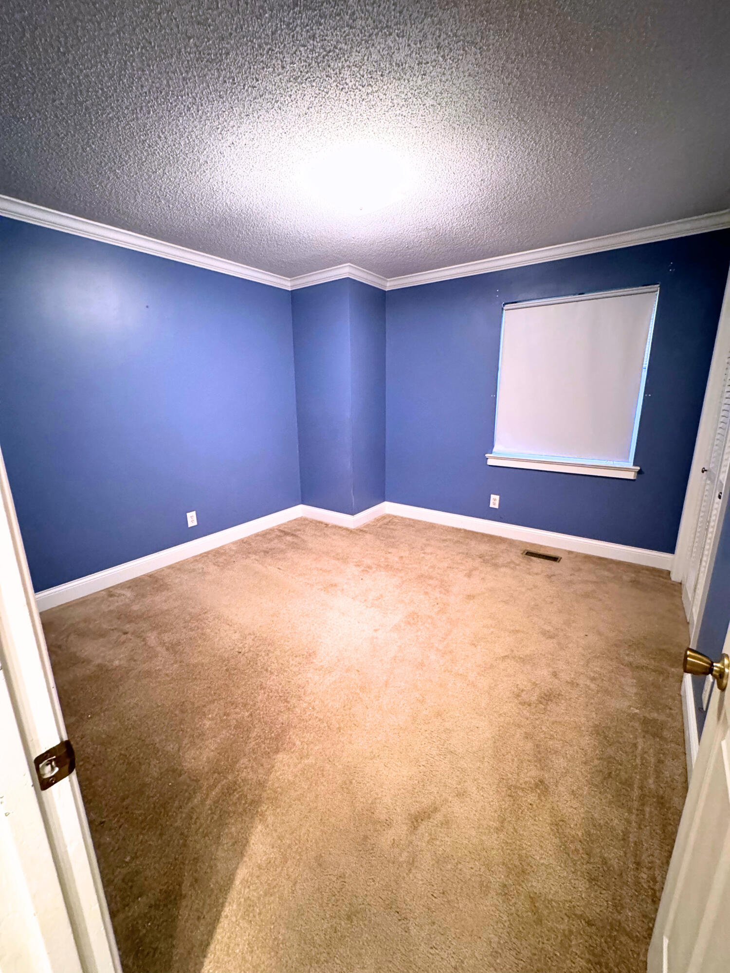 1314 Village Green Drive