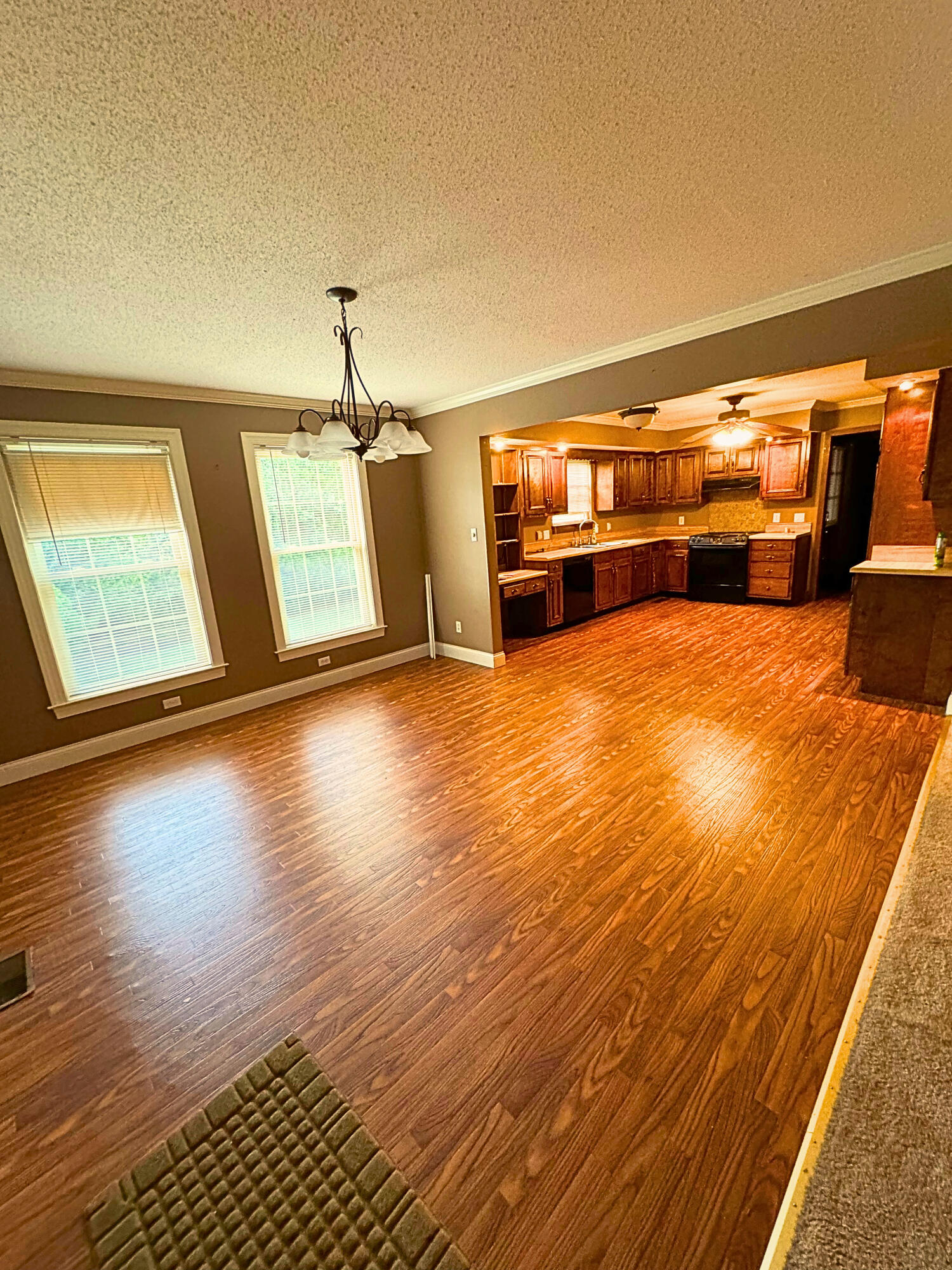 1314 Village Green Drive