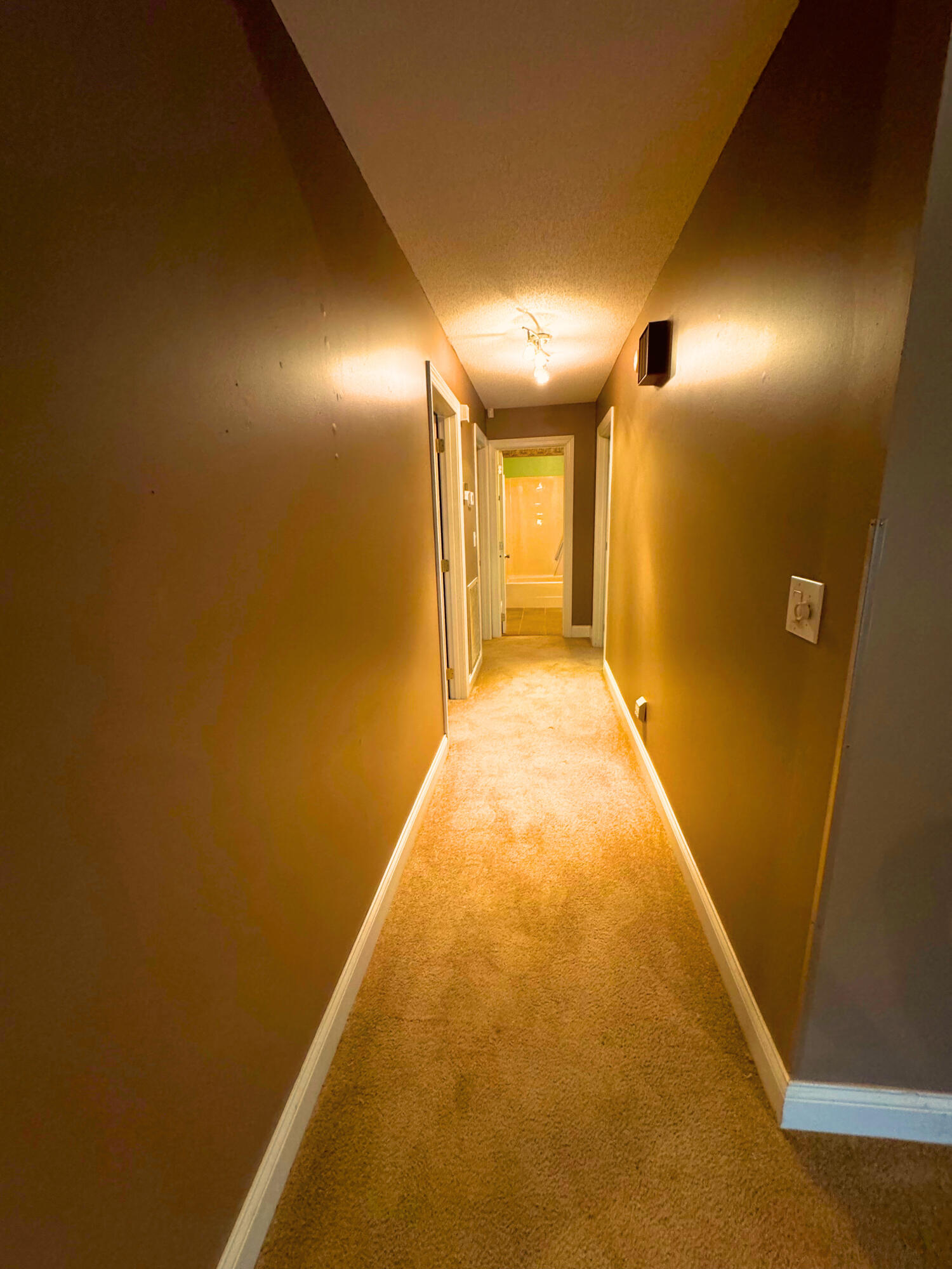 1314 Village Green Drive