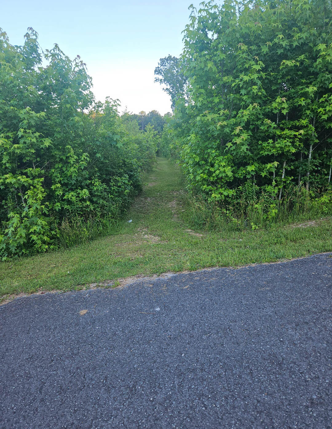 711 N Ridge Estates