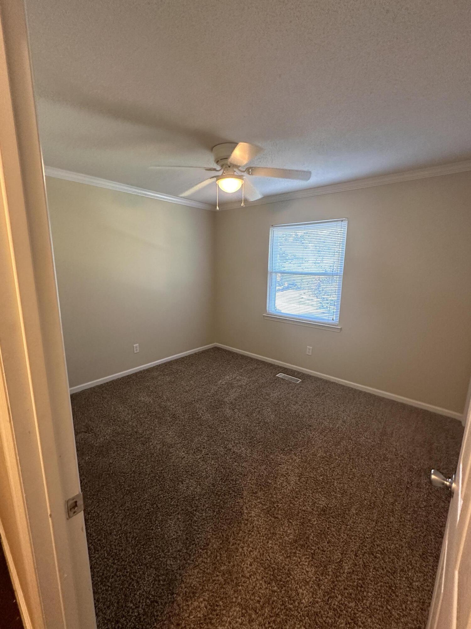 536 Tree Top Lane