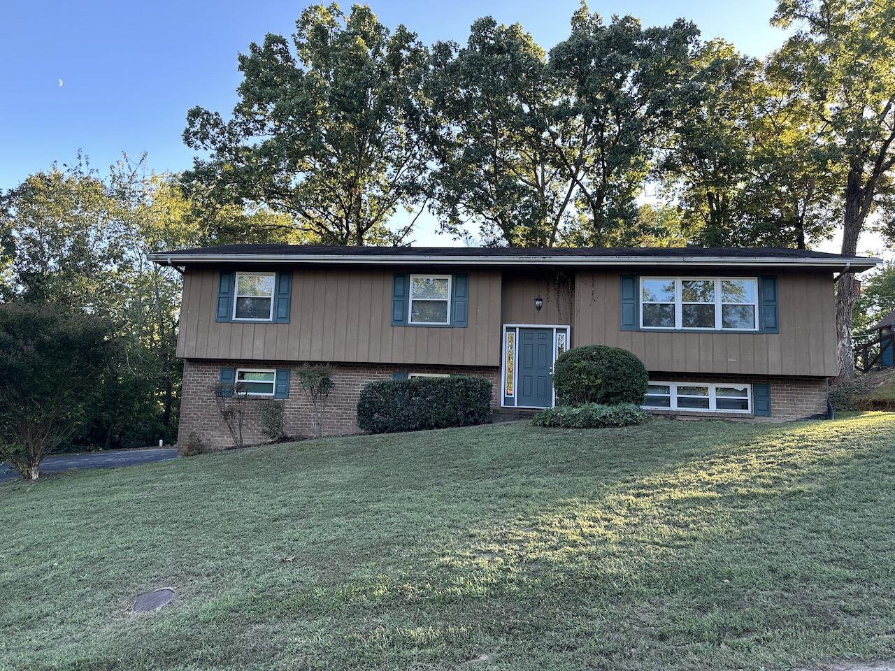 536 Tree Top Lane
