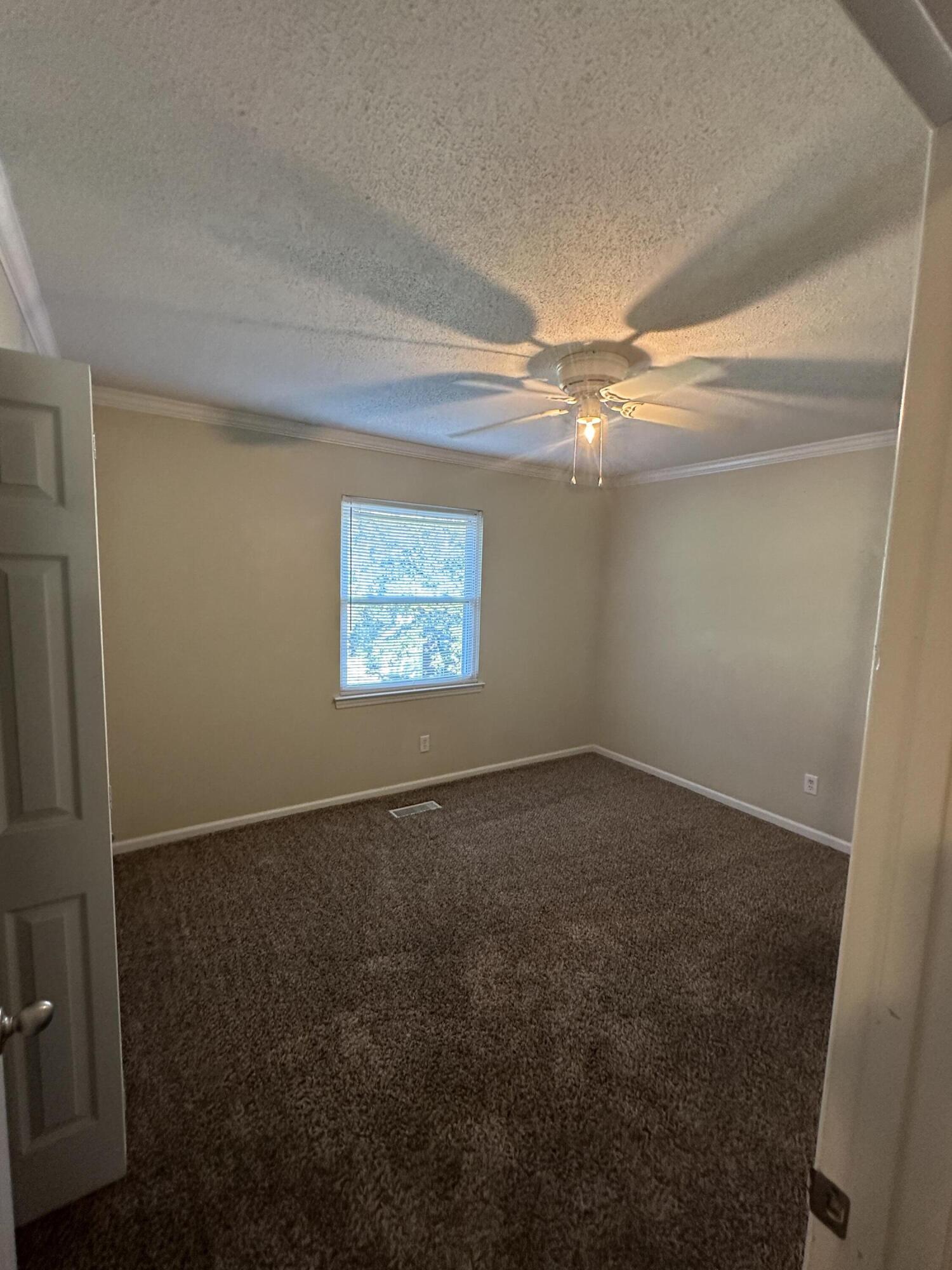 536 Tree Top Lane