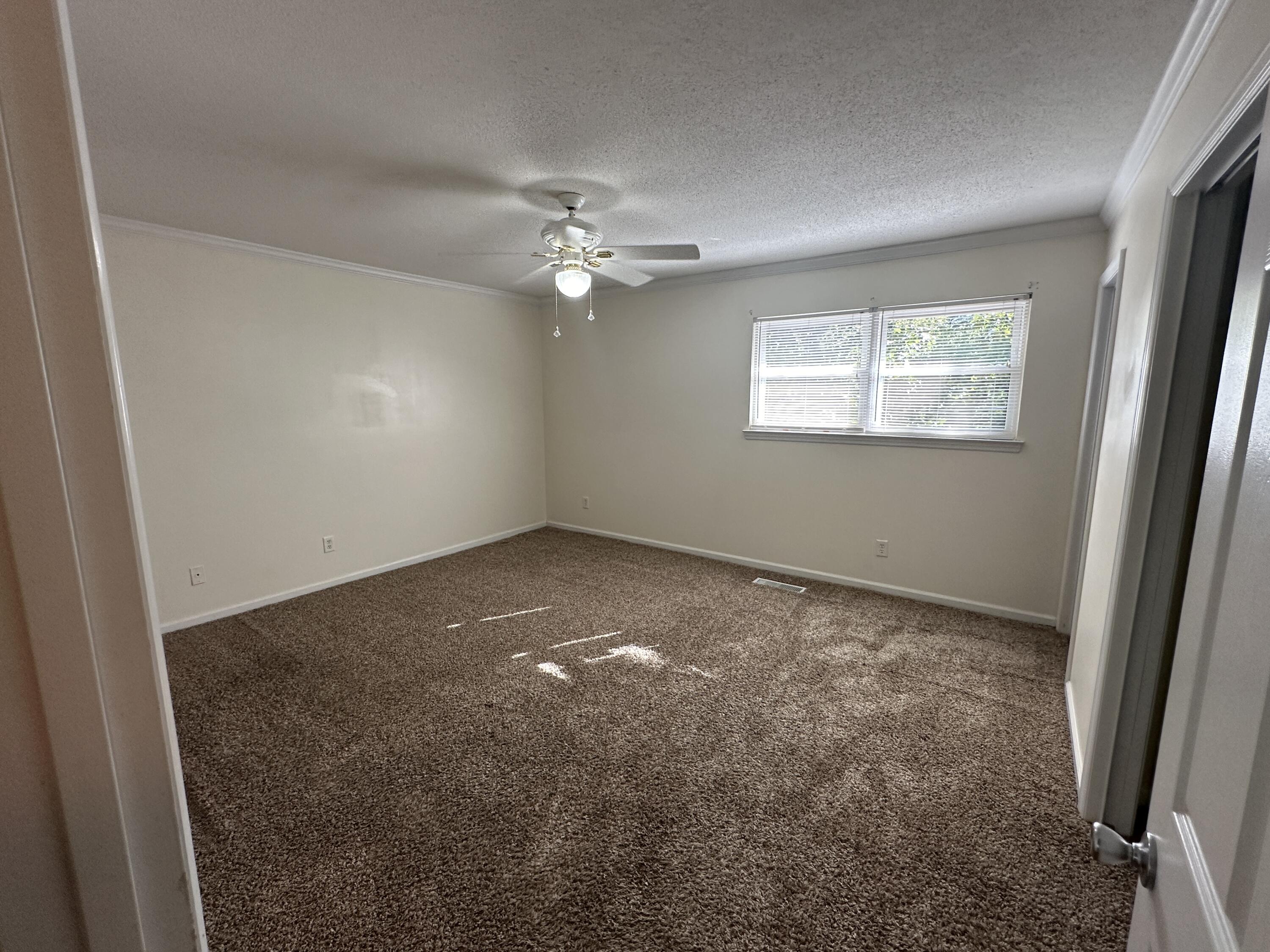 536 Tree Top Lane