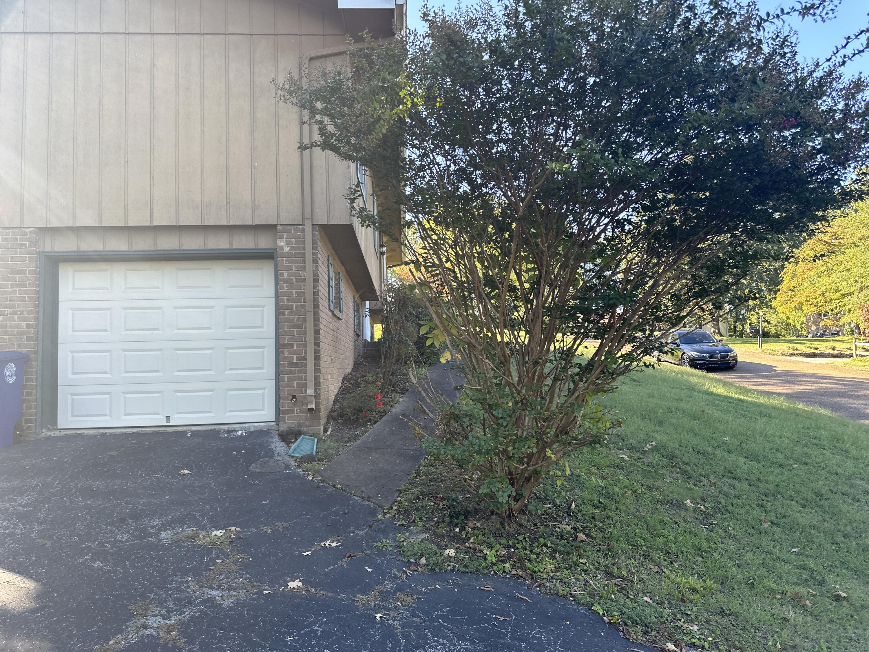 536 Tree Top Lane