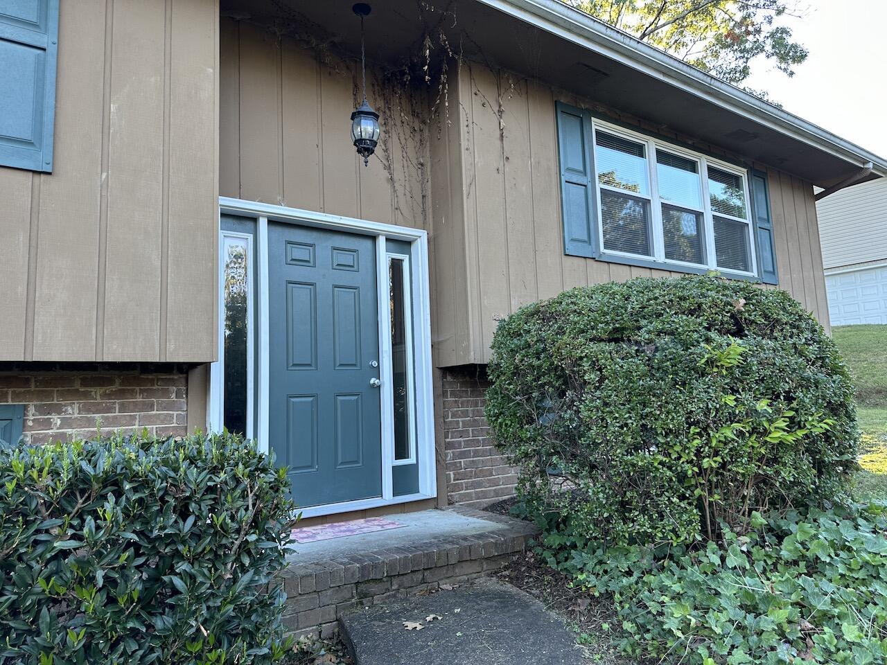 536 Tree Top Lane