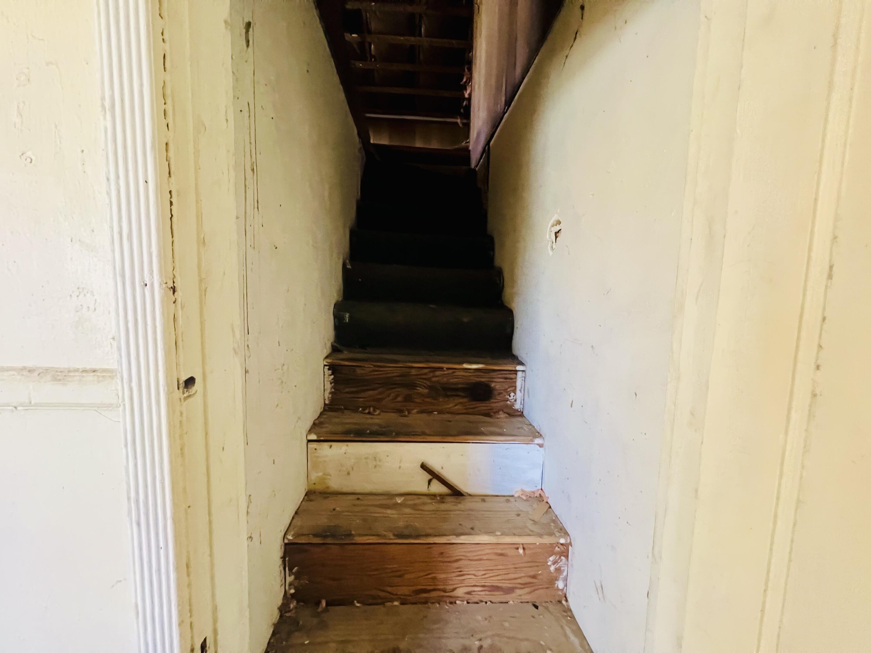 35 Agnes Avenue