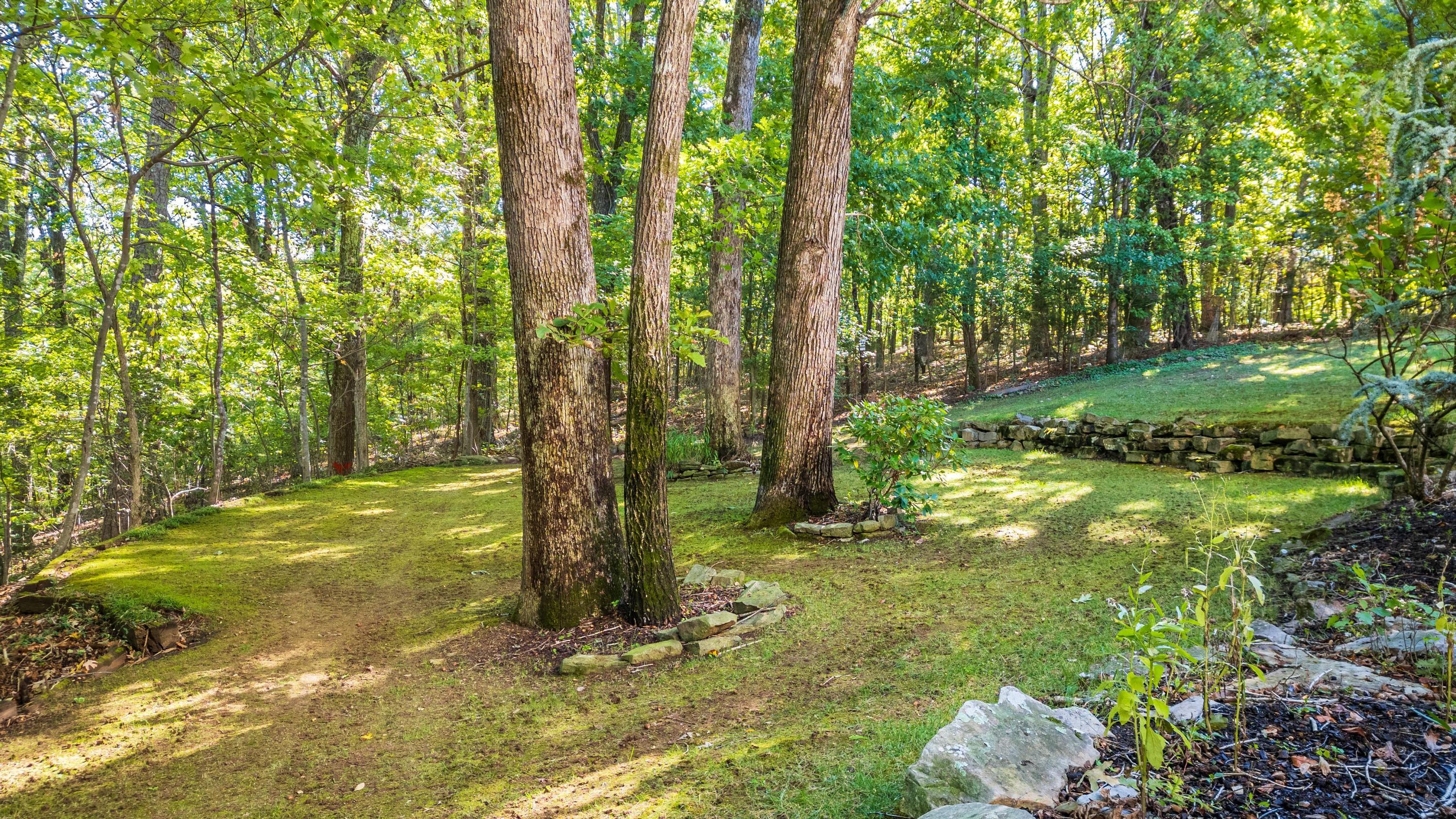 2015 Riverwood Drive