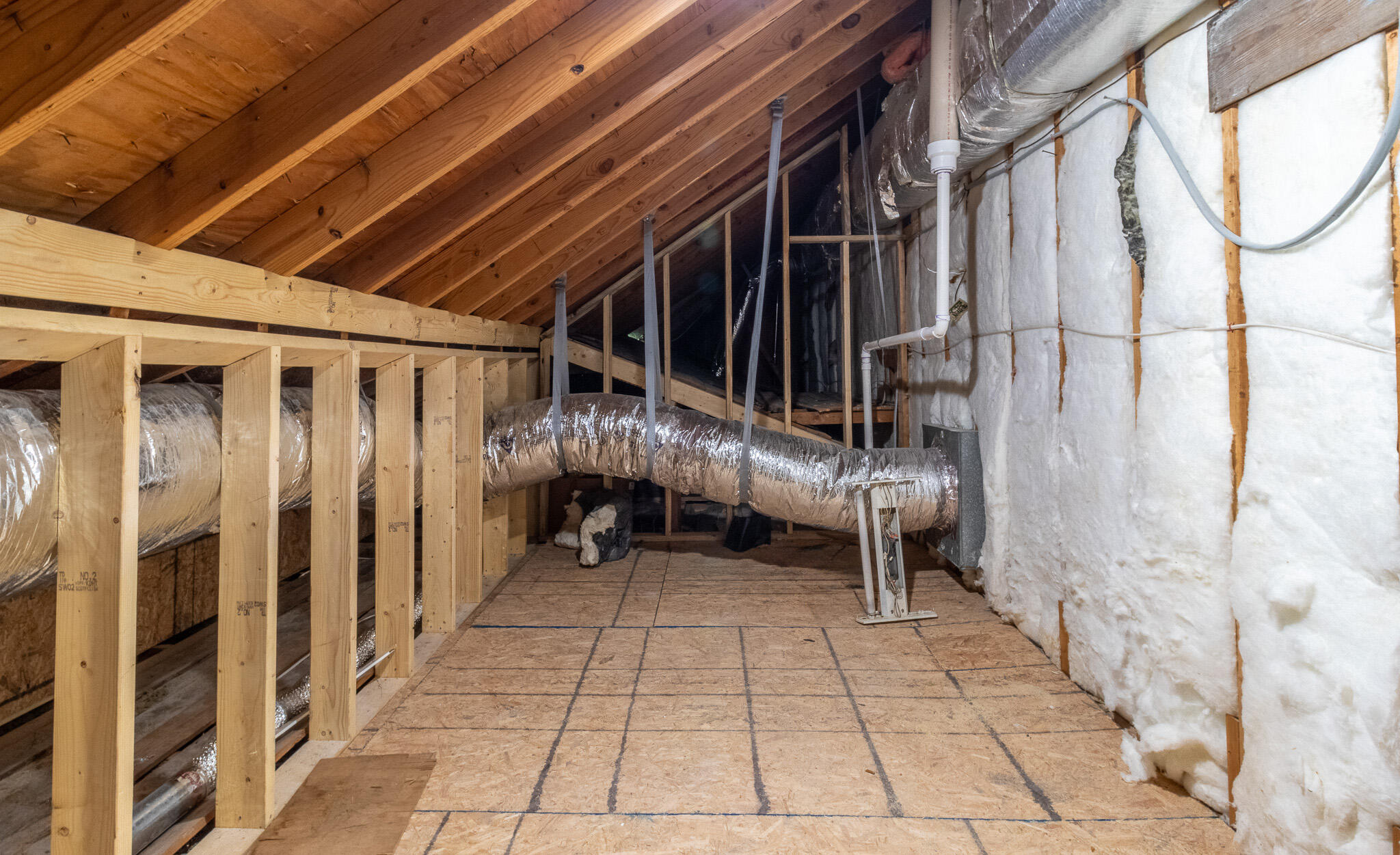 1140 Chippewah Drive