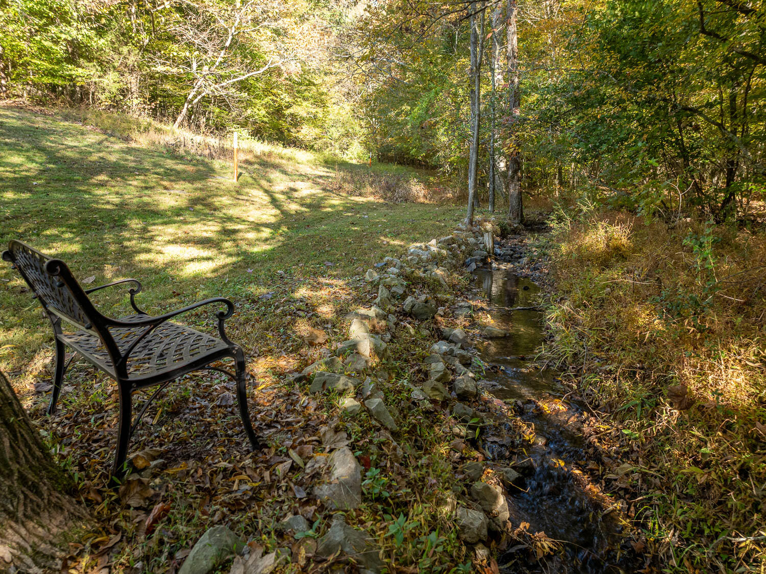 9358 Peppy Branch Trail