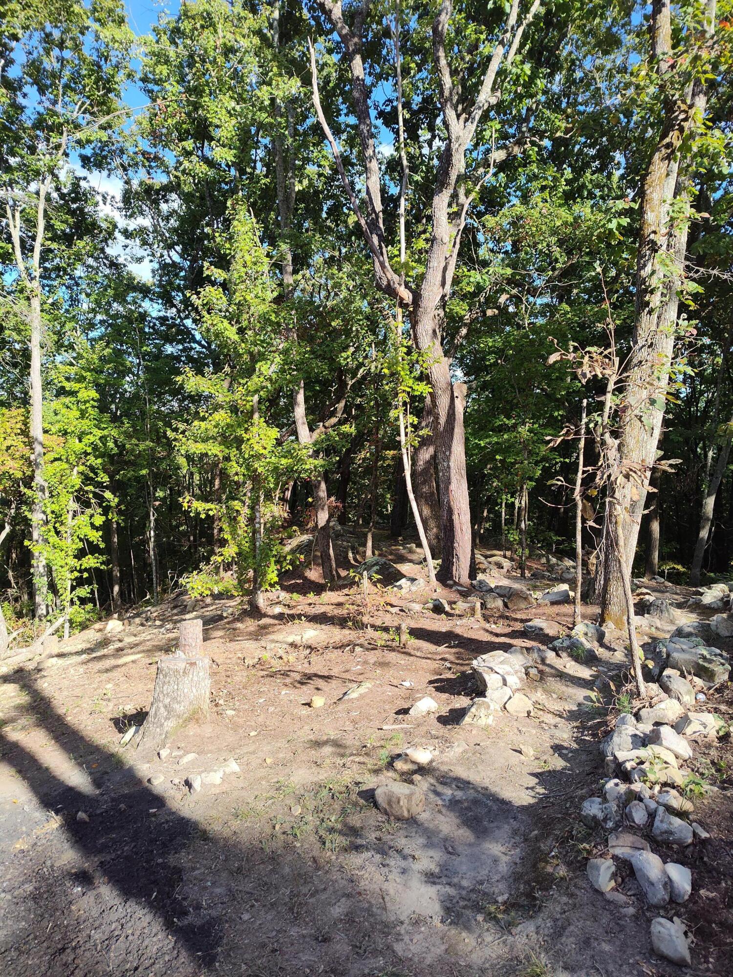 1224 Blue Sewanee Road