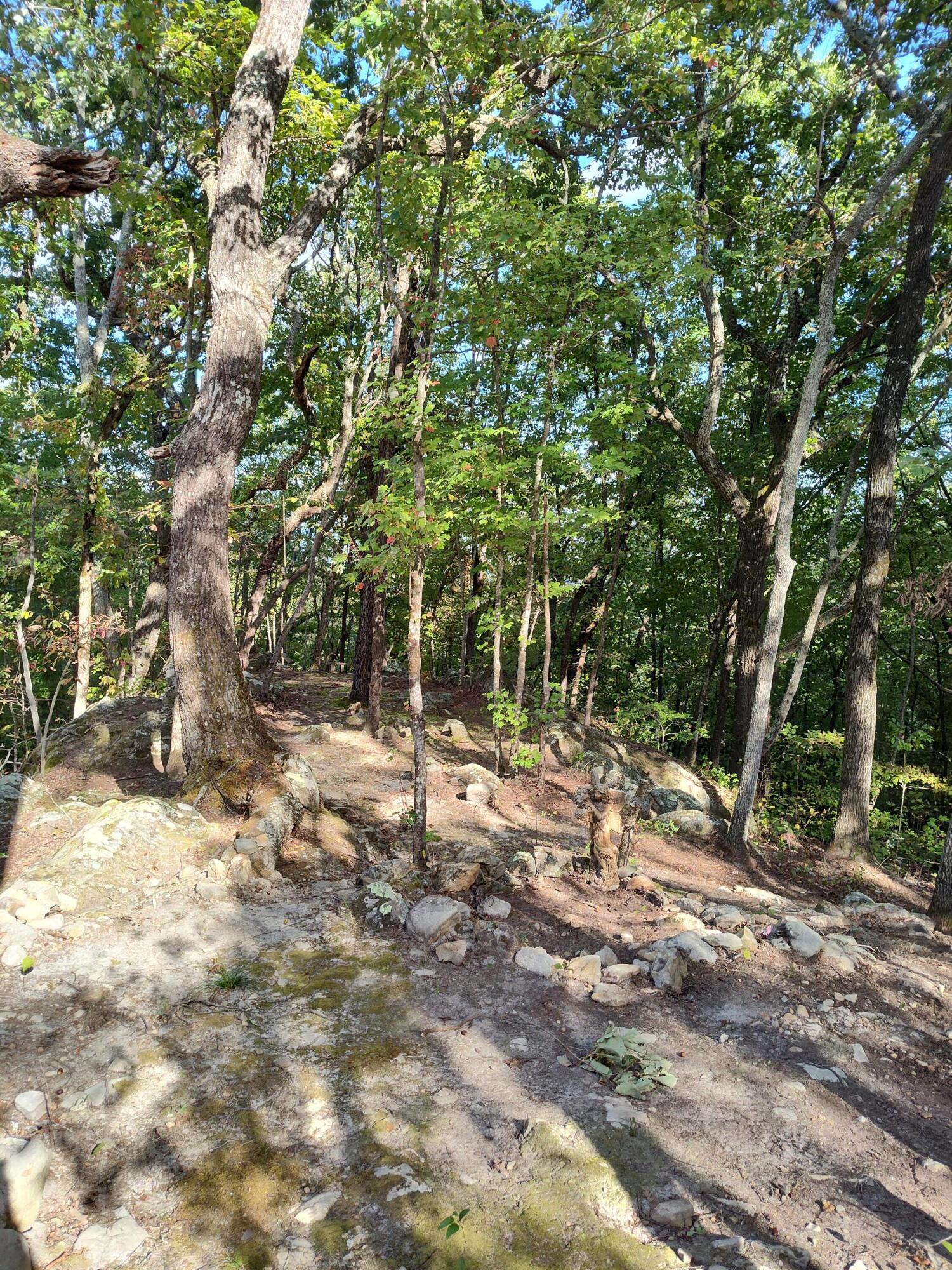 1224 Blue Sewanee Road