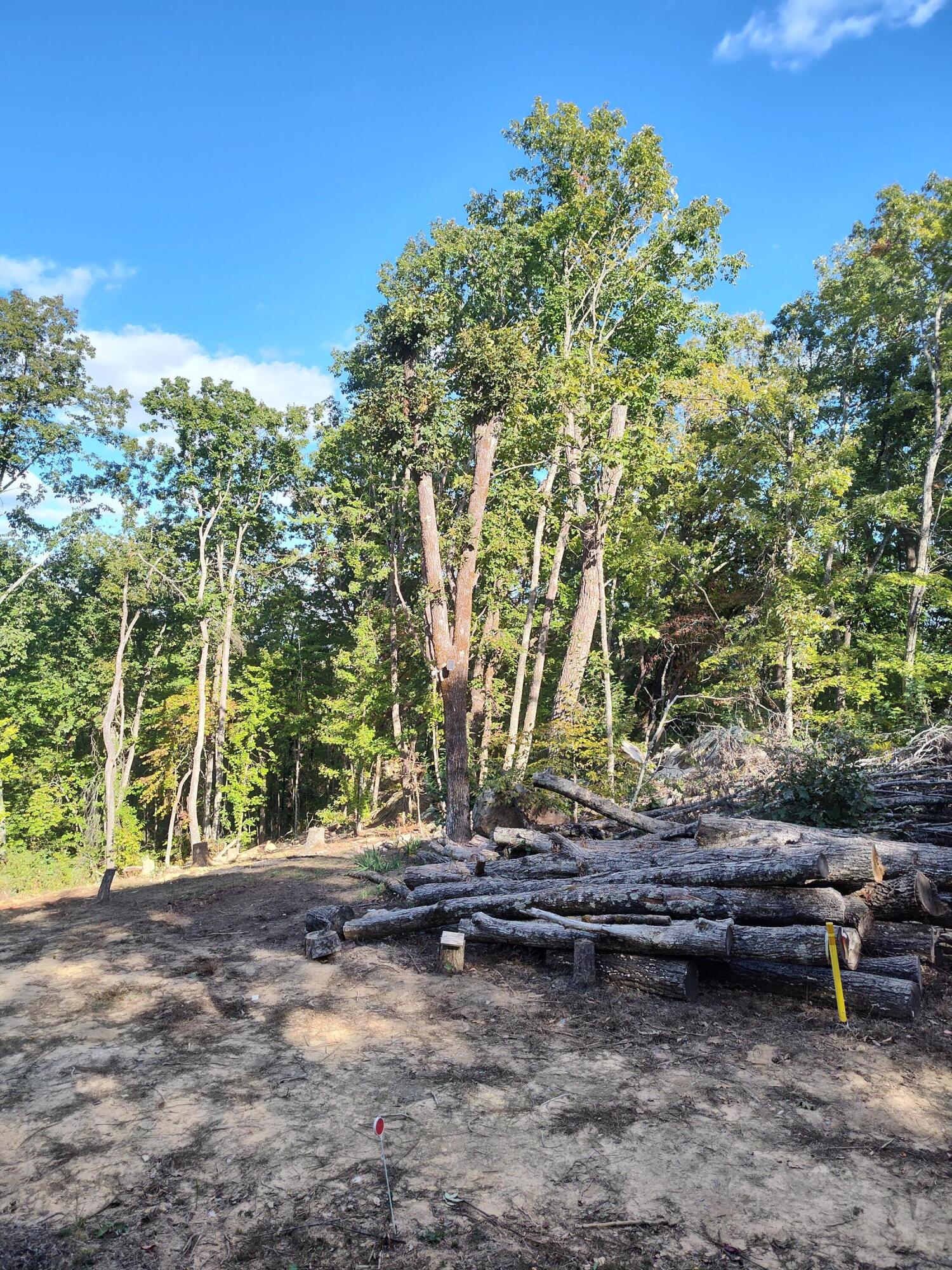 1224 Blue Sewanee Road