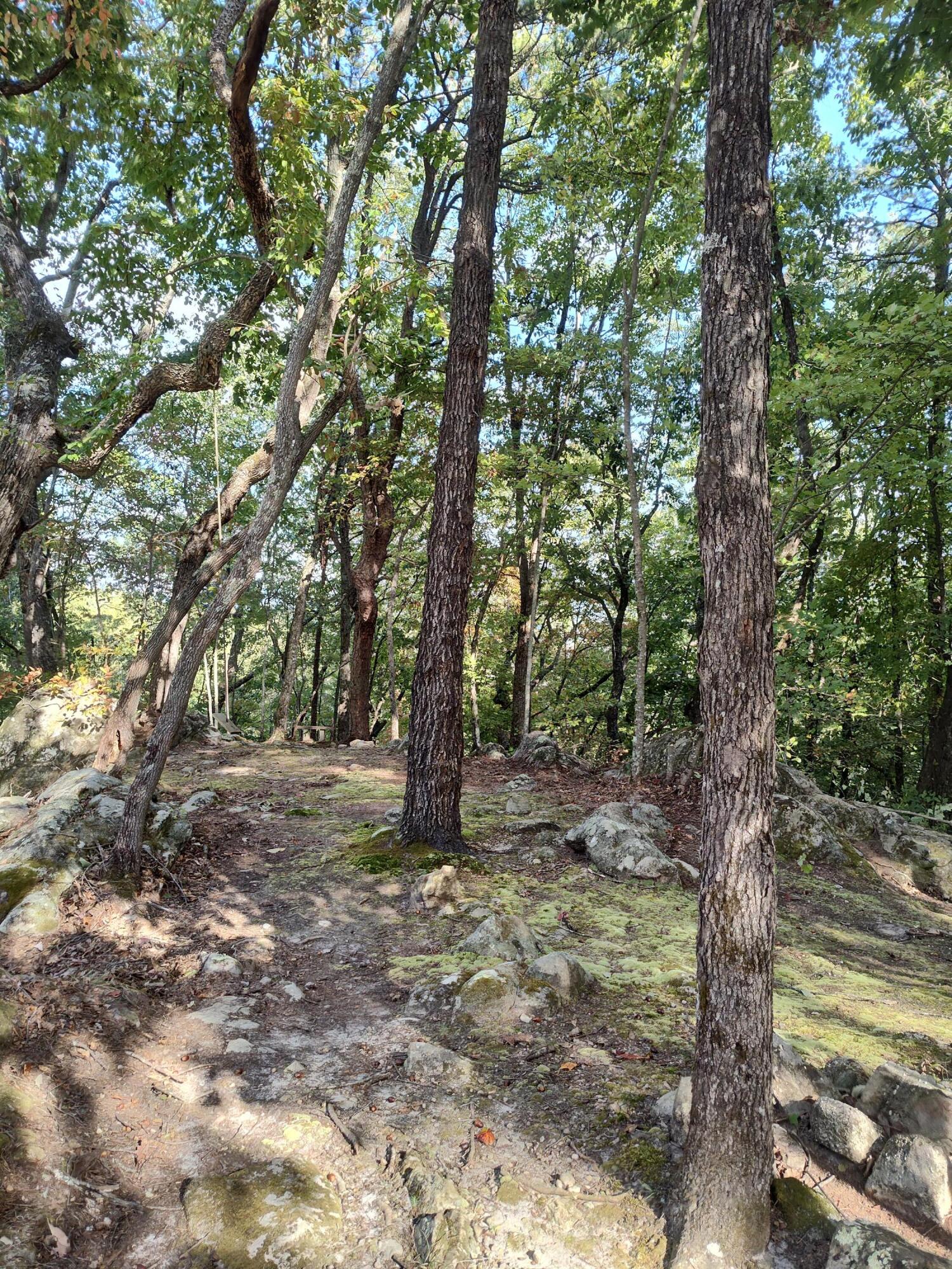 1224 Blue Sewanee Road