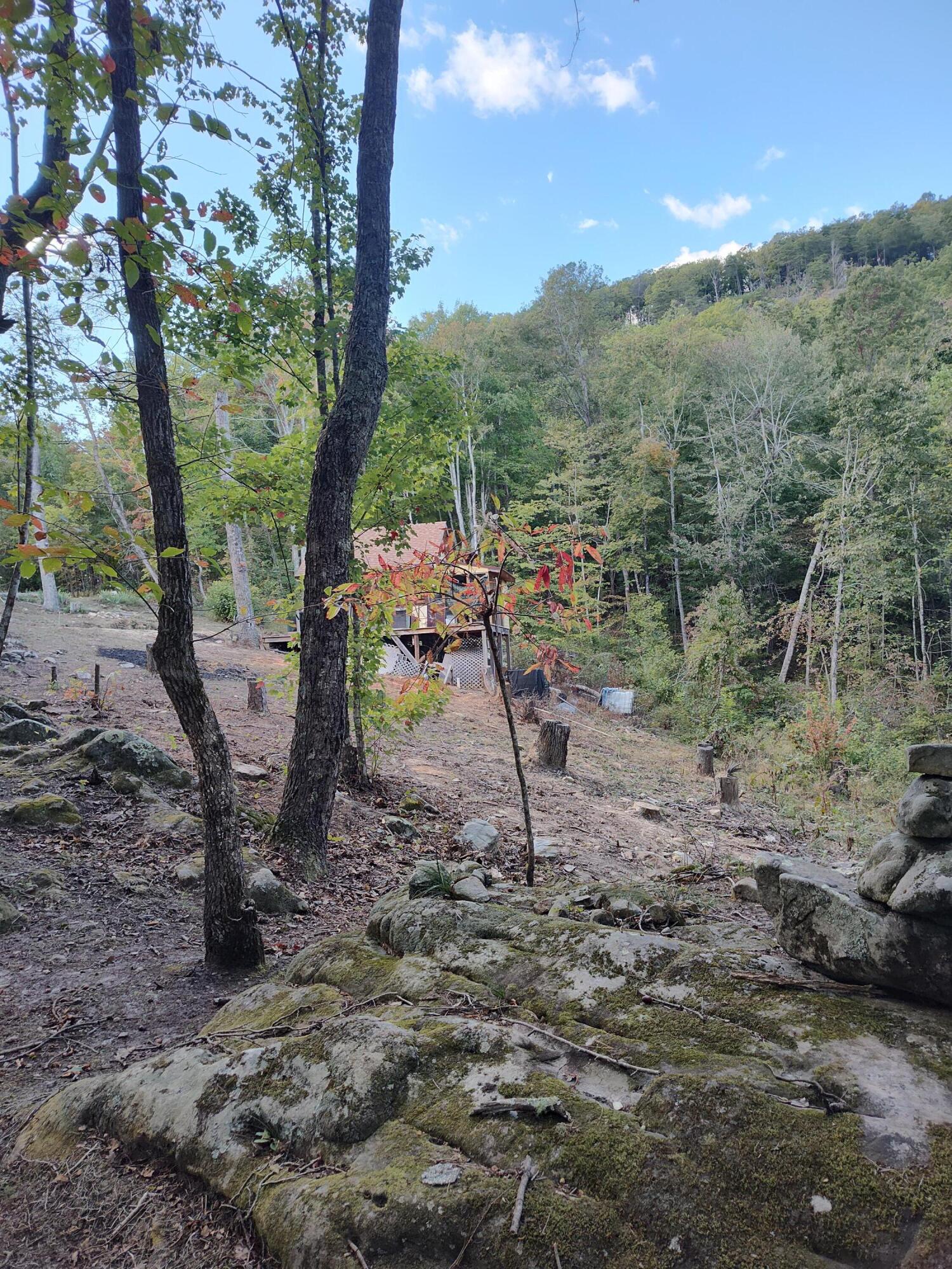 1224 Blue Sewanee Road