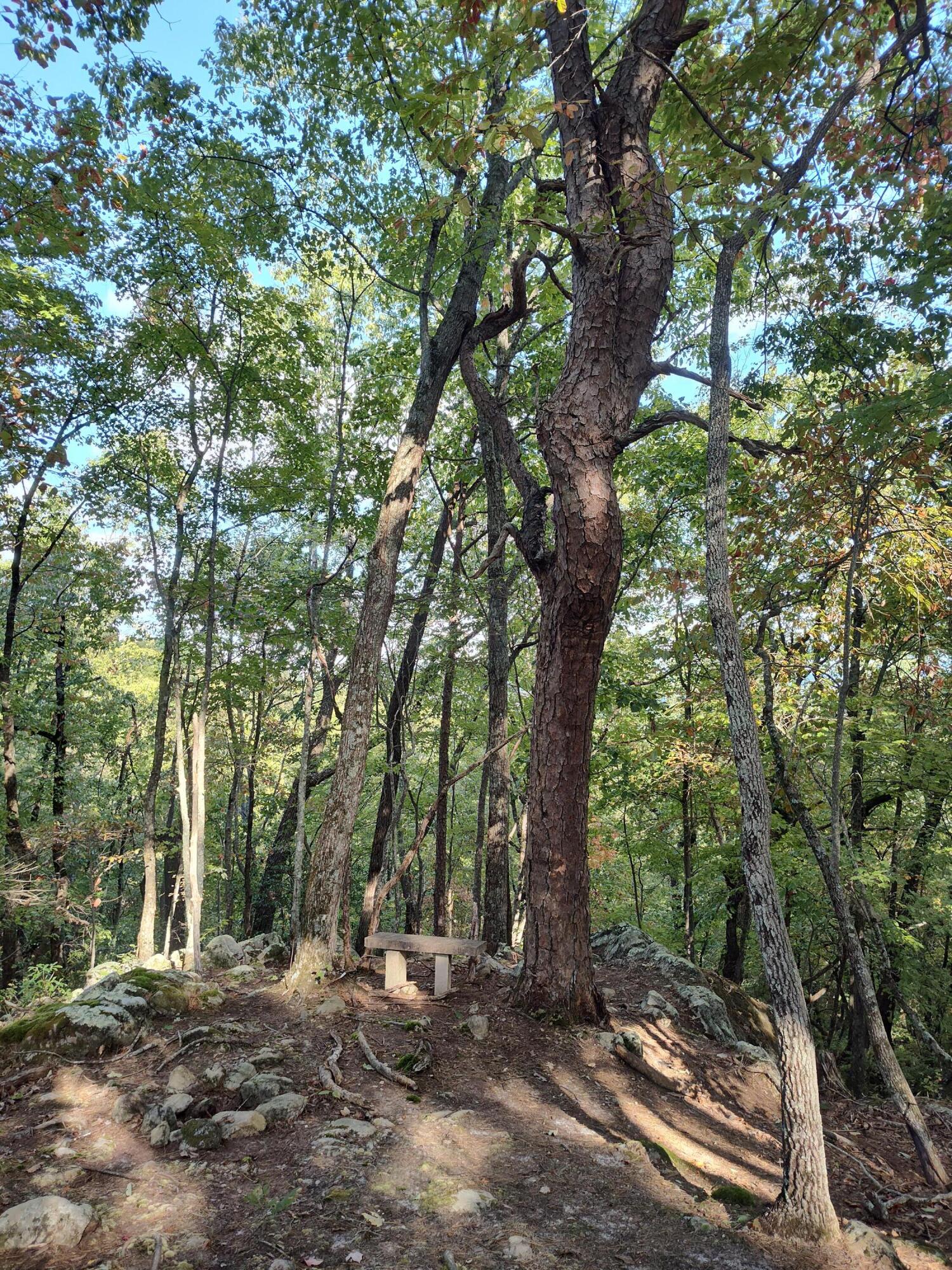 1224 Blue Sewanee Road