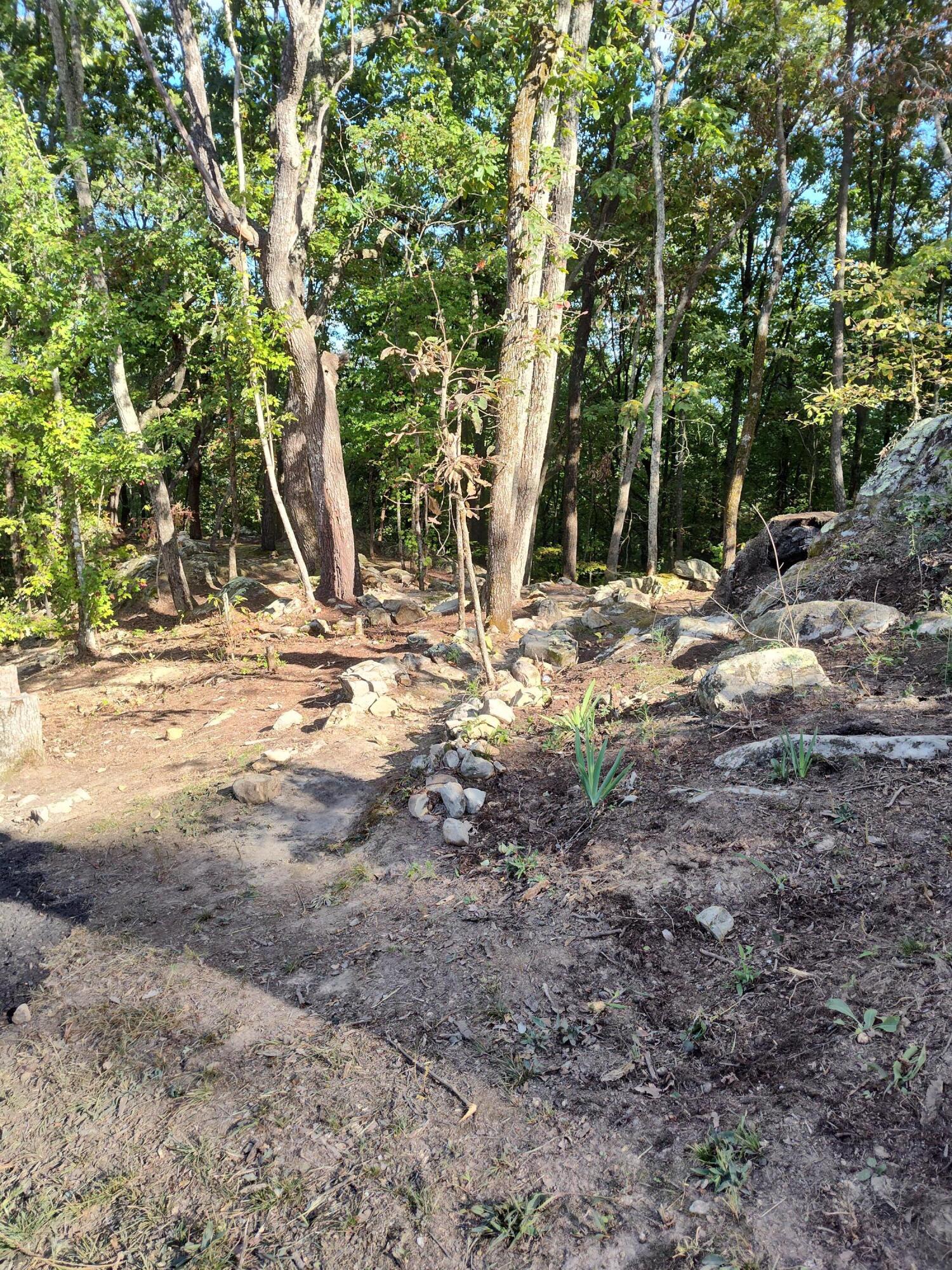 1224 Blue Sewanee Road