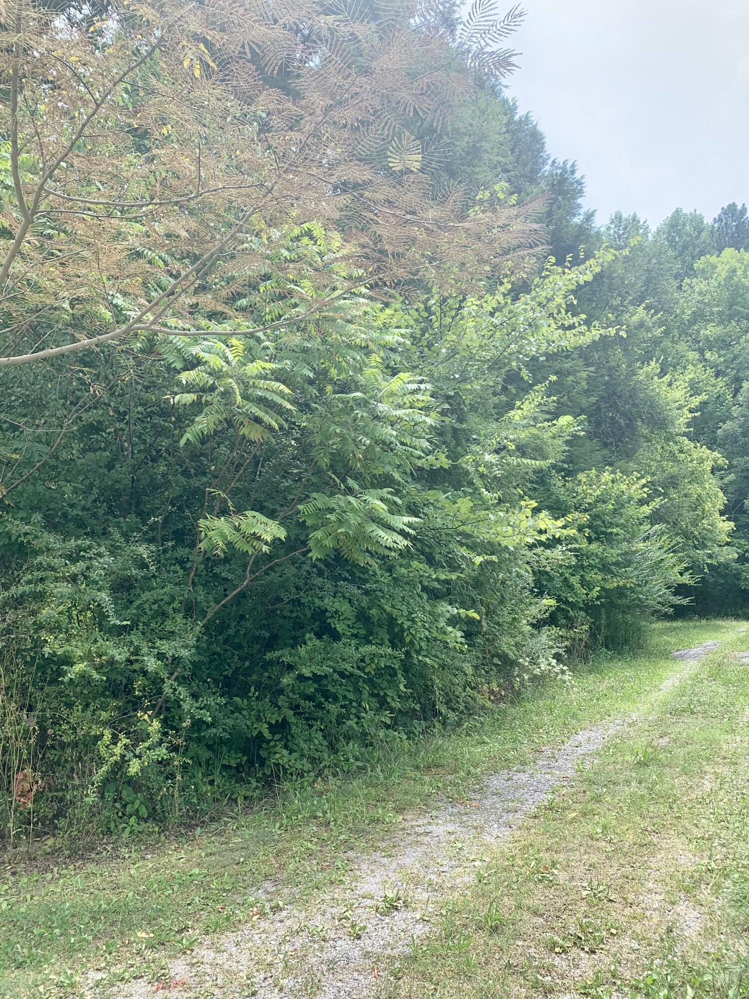 Lot 2 Hartman Circle