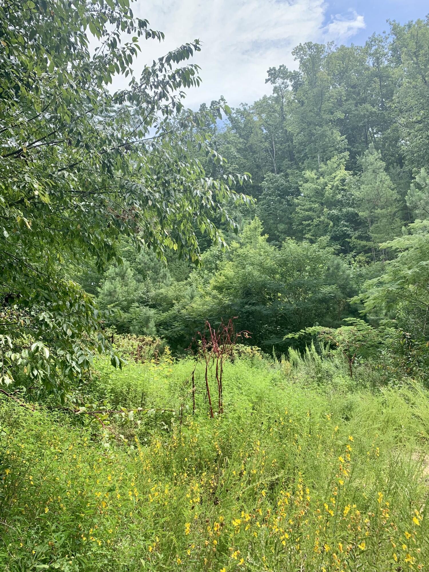 Lot 2 Hartman Circle