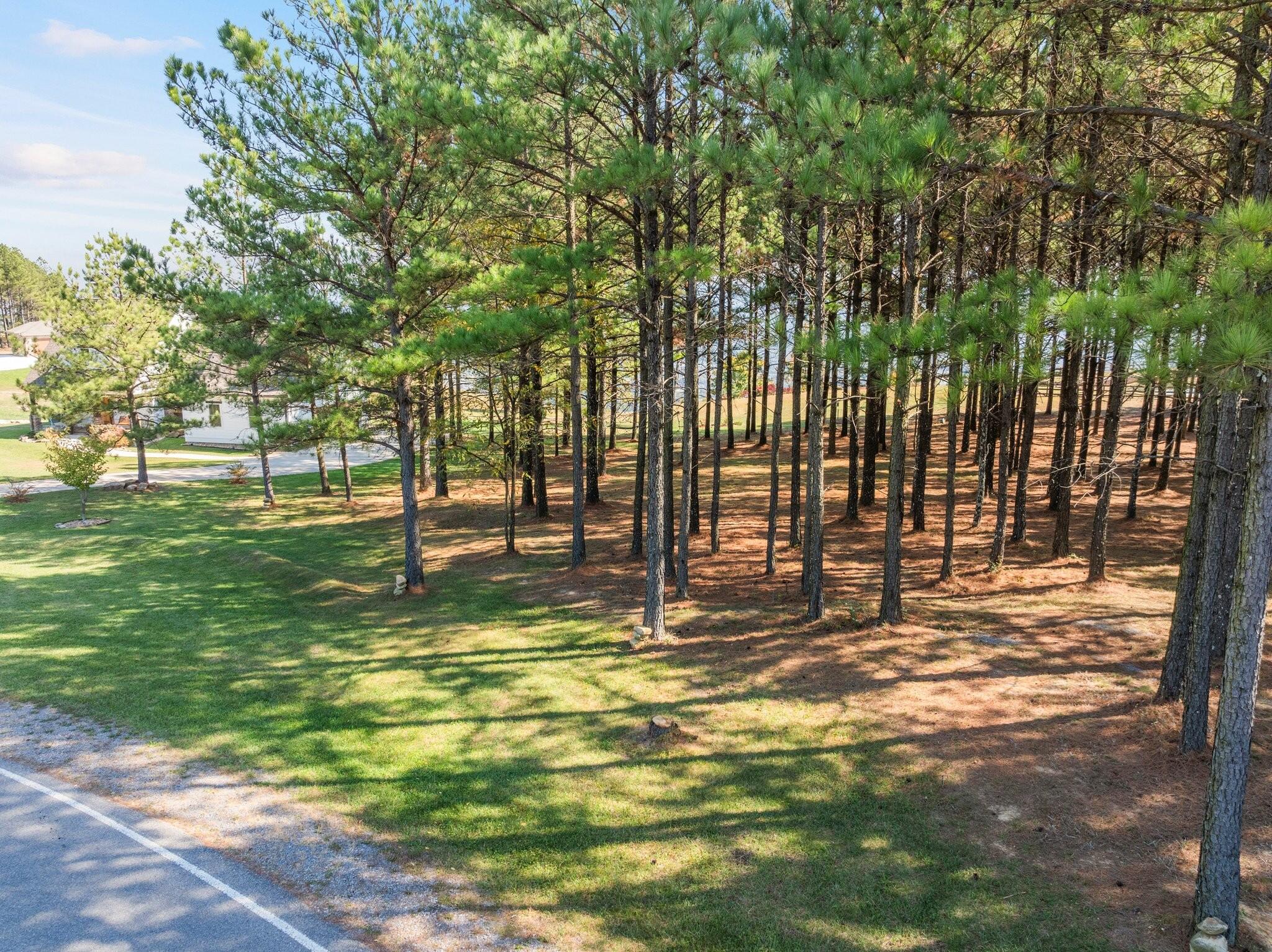 2372 River Bluffs Drive