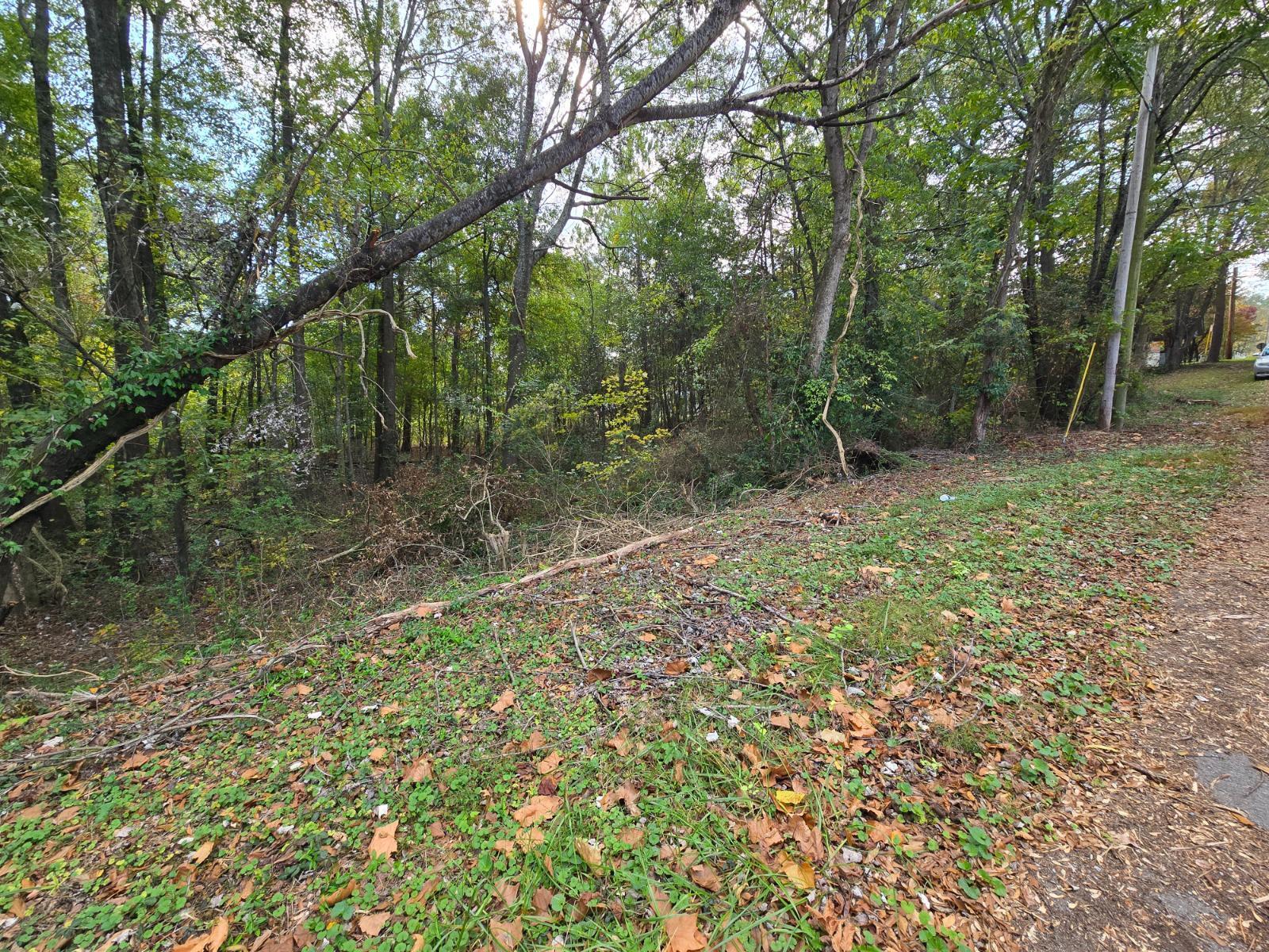 301 Cavender Street, LaFayette