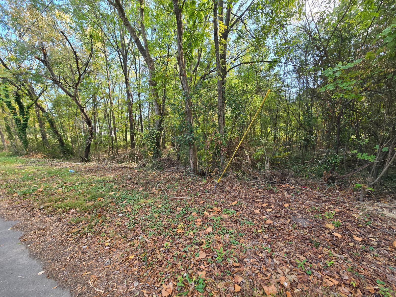 301 Cavender Street, LaFayette