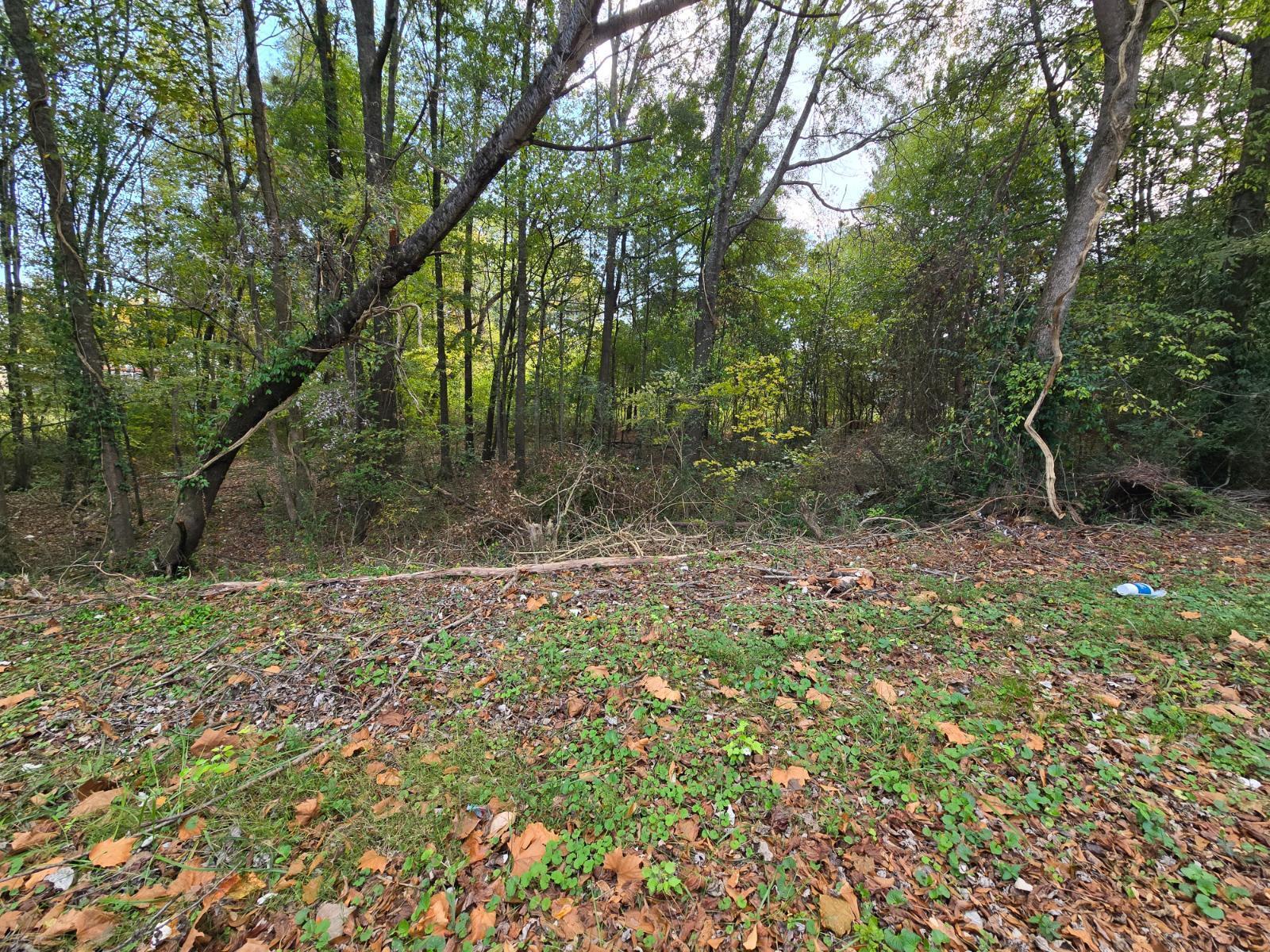 301 Cavender Street, LaFayette