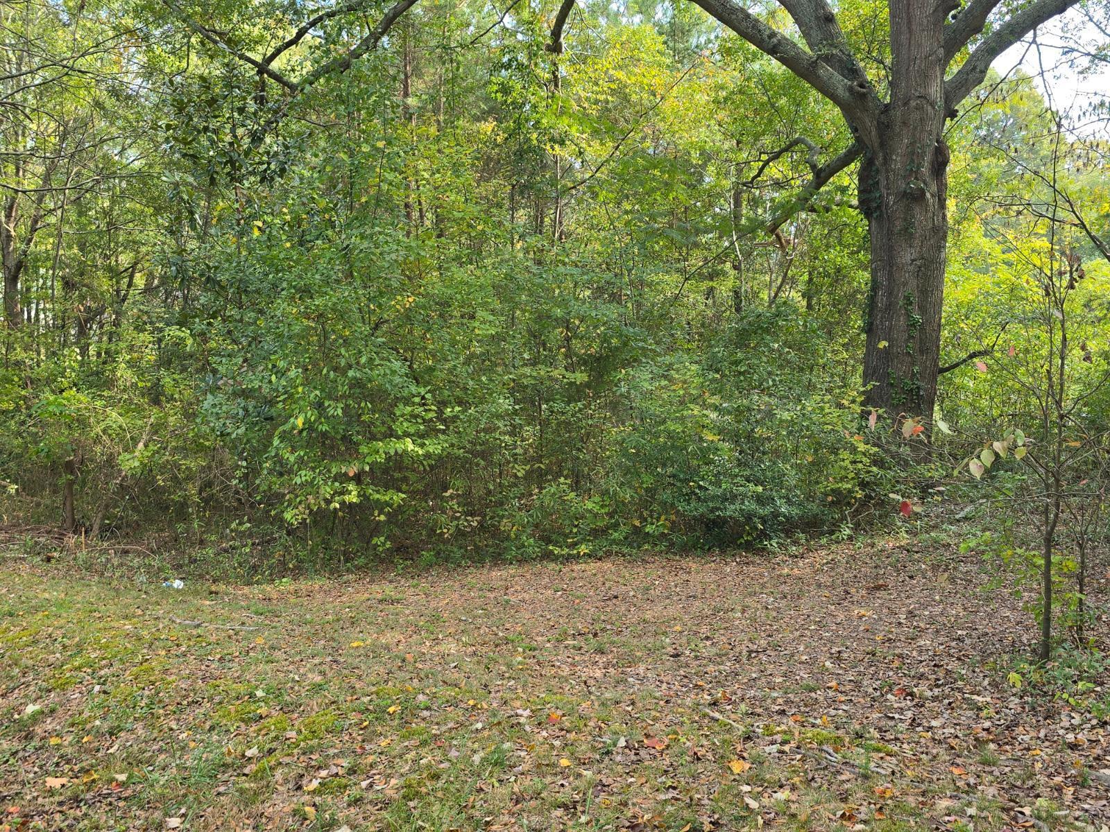 301 Cavender Street, LaFayette