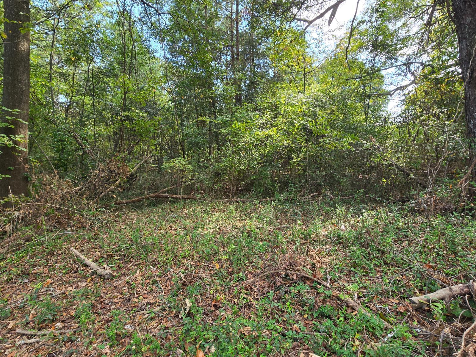 301 Cavender Street, LaFayette