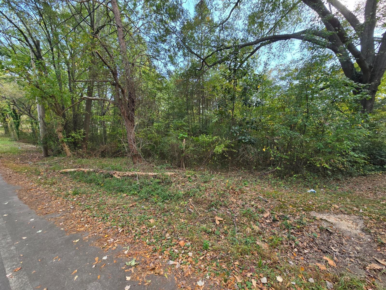 301 Cavender Street, LaFayette