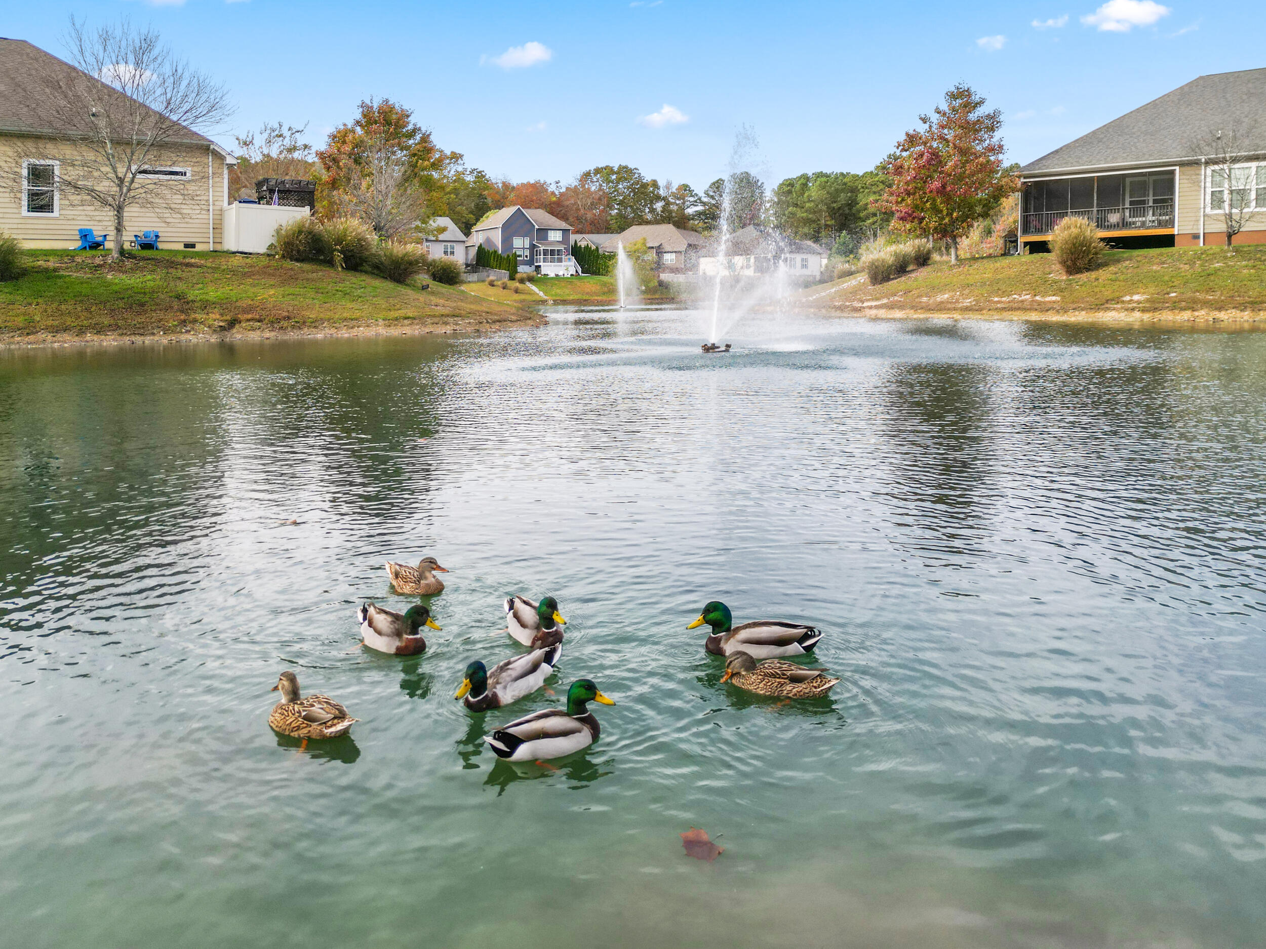 2367 Lake Mist Drive