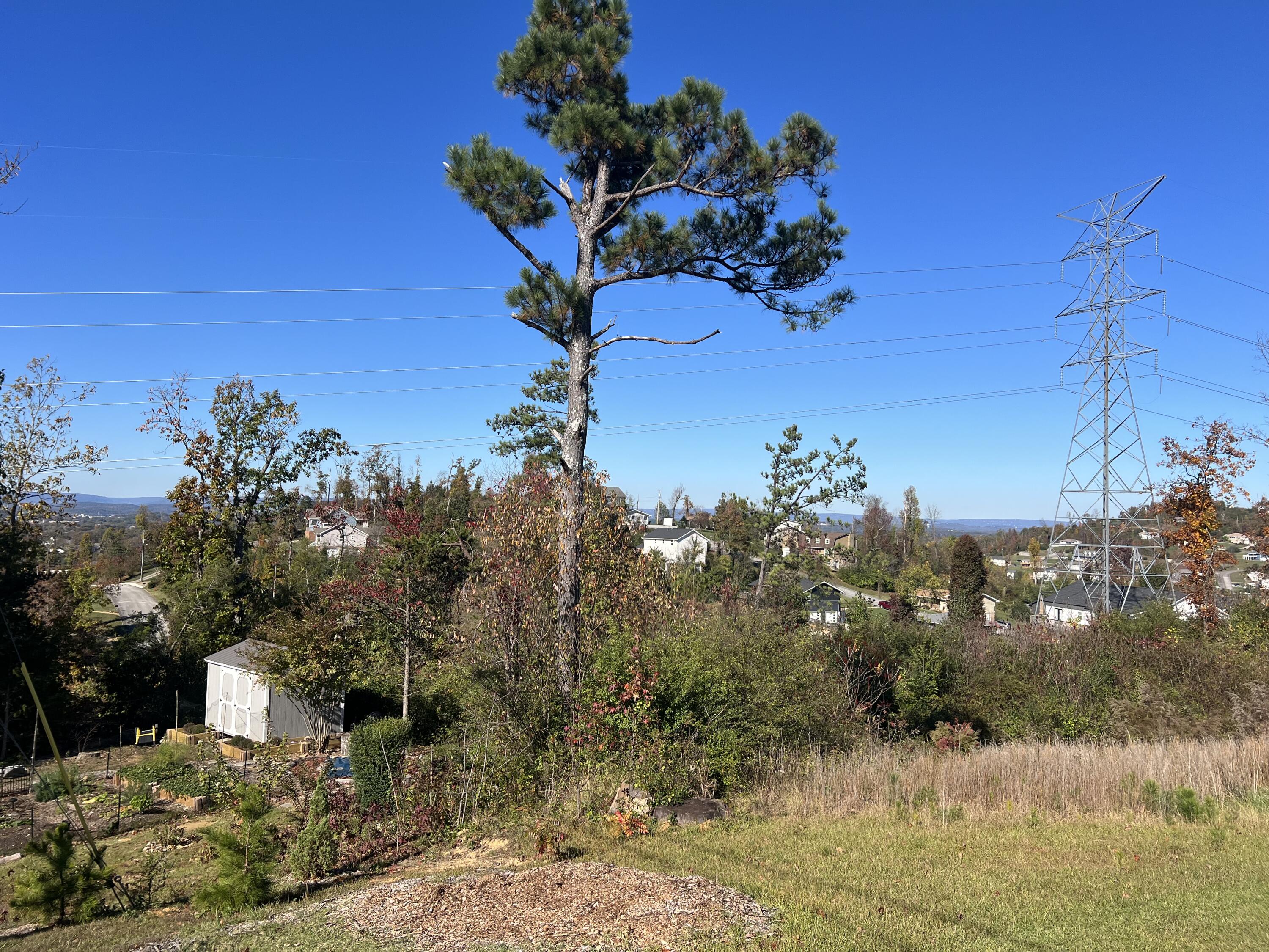 2349 Jennifer Drive