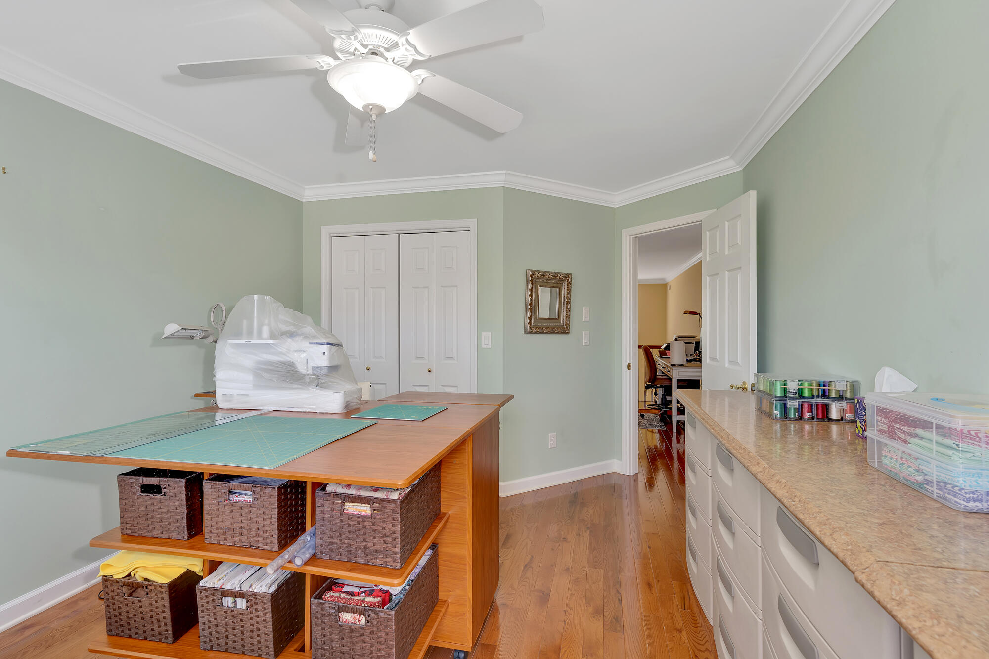 2416 Cone Flower Trail