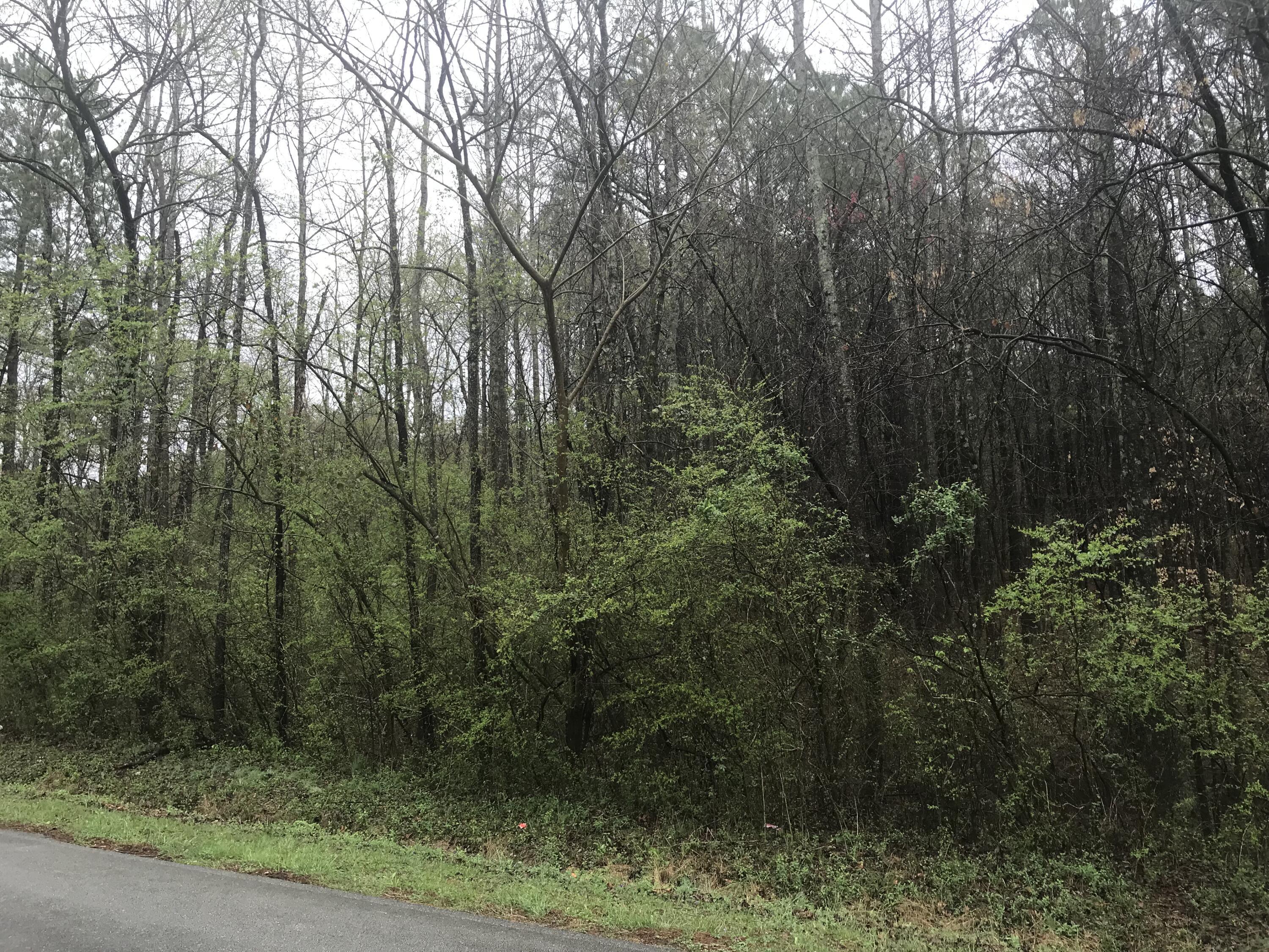 0 Trion Highway, LaFayette