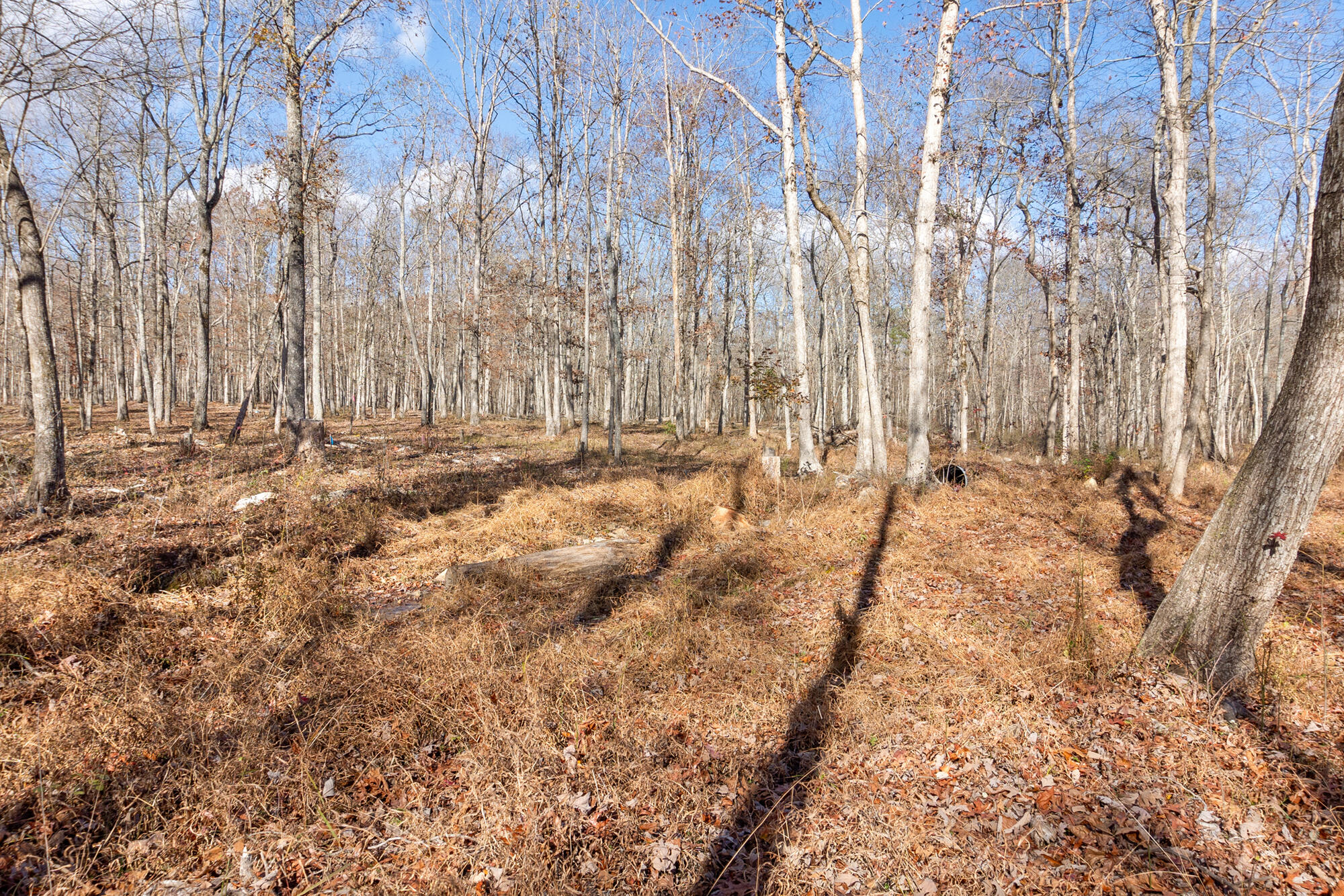 845 Tranquil Acres