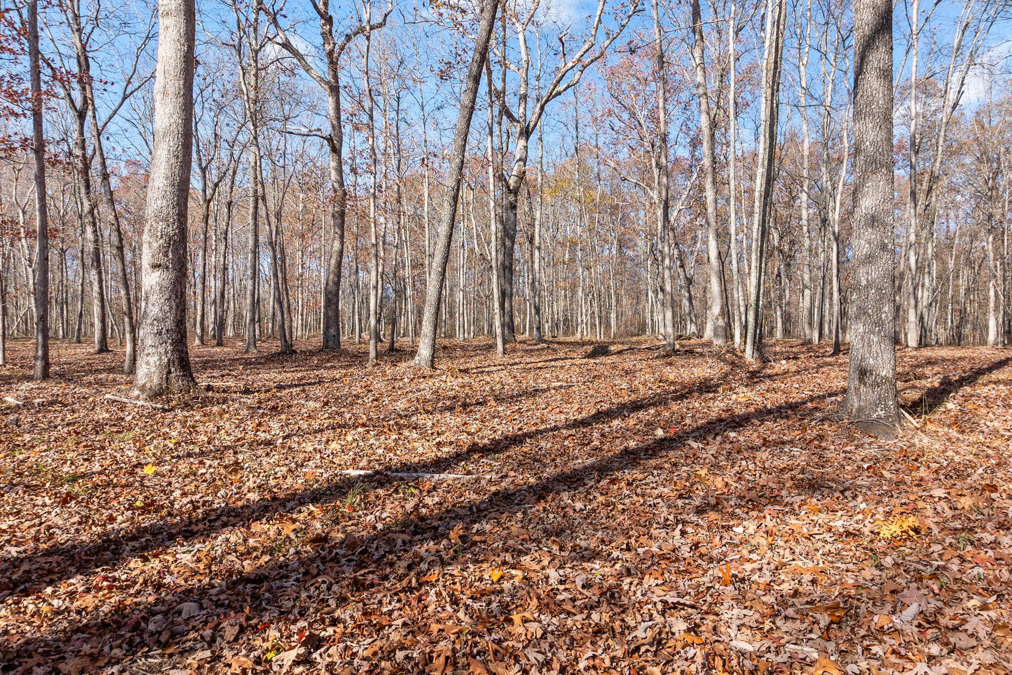 845 Tranquil Acres