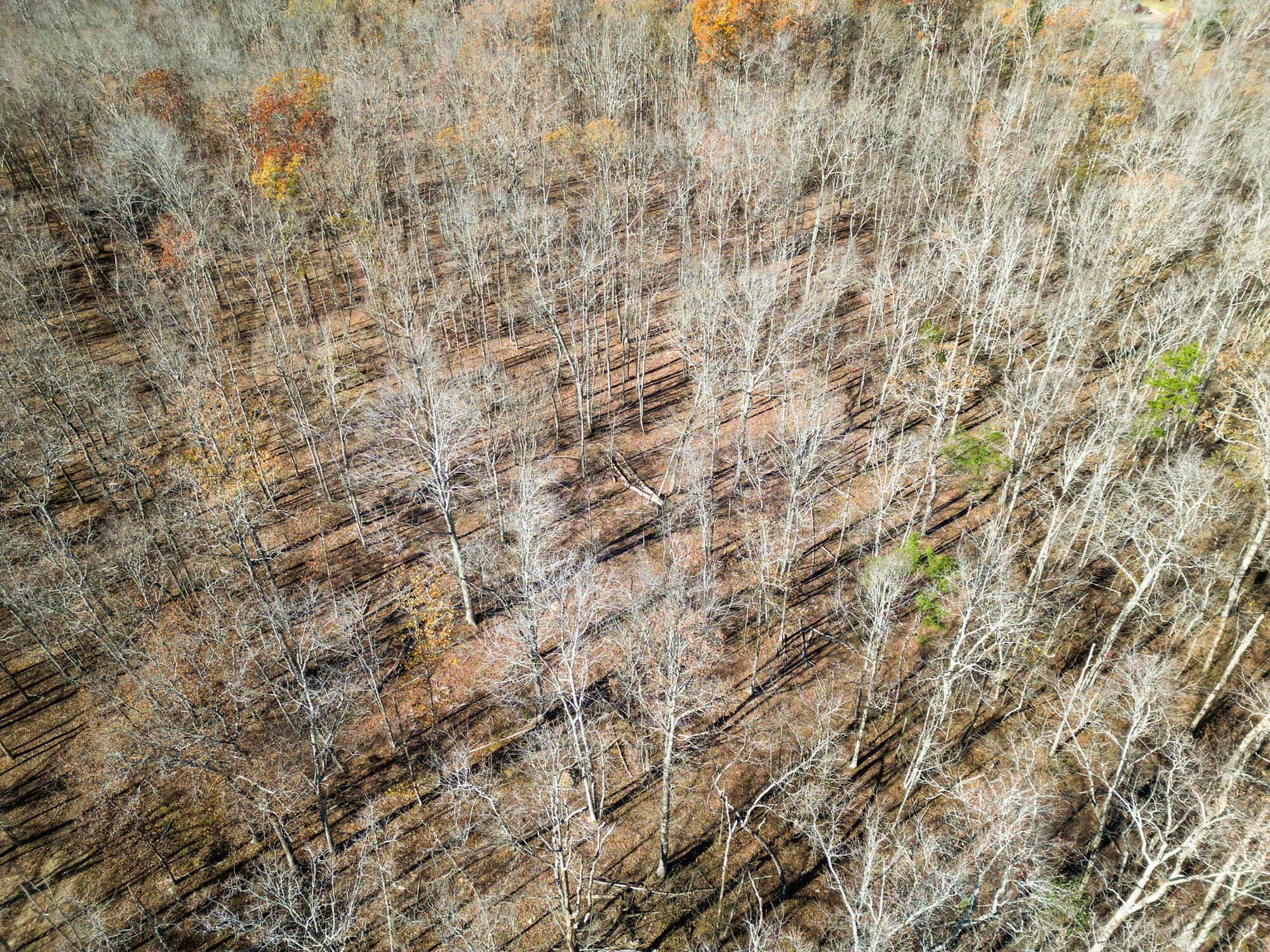 845 Tranquil Acres
