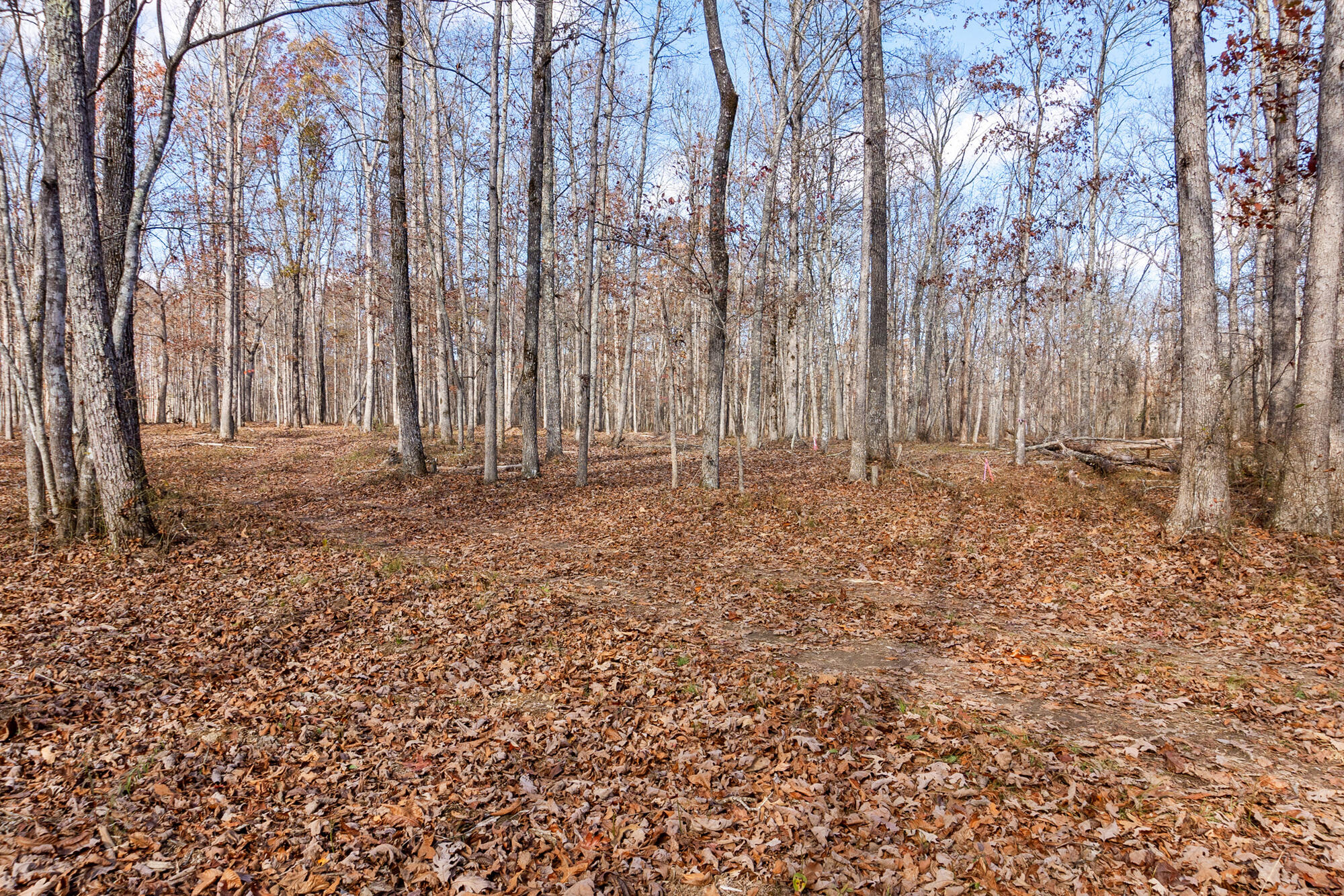 845 Tranquil Acres