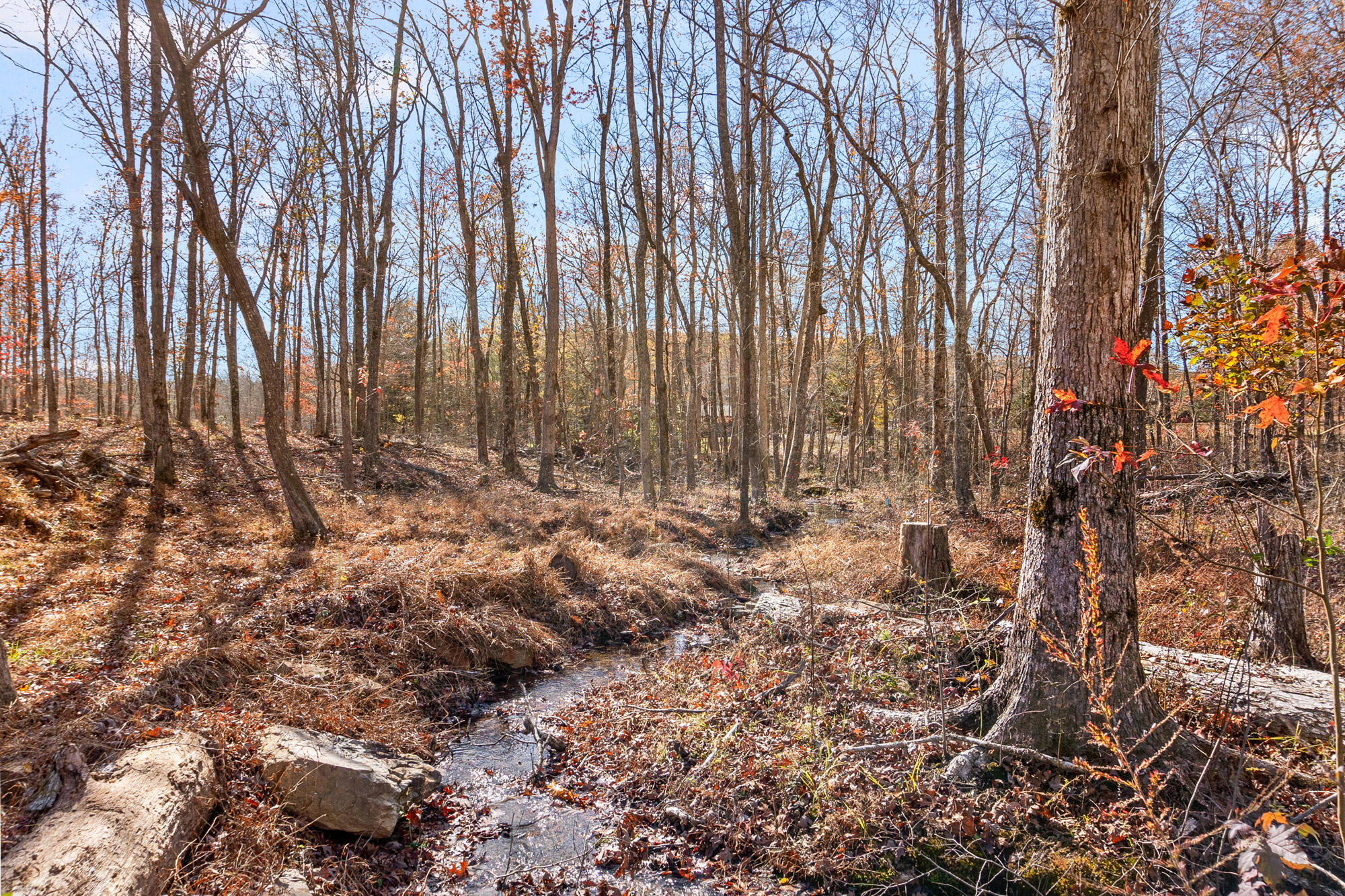 845 Tranquil Acres