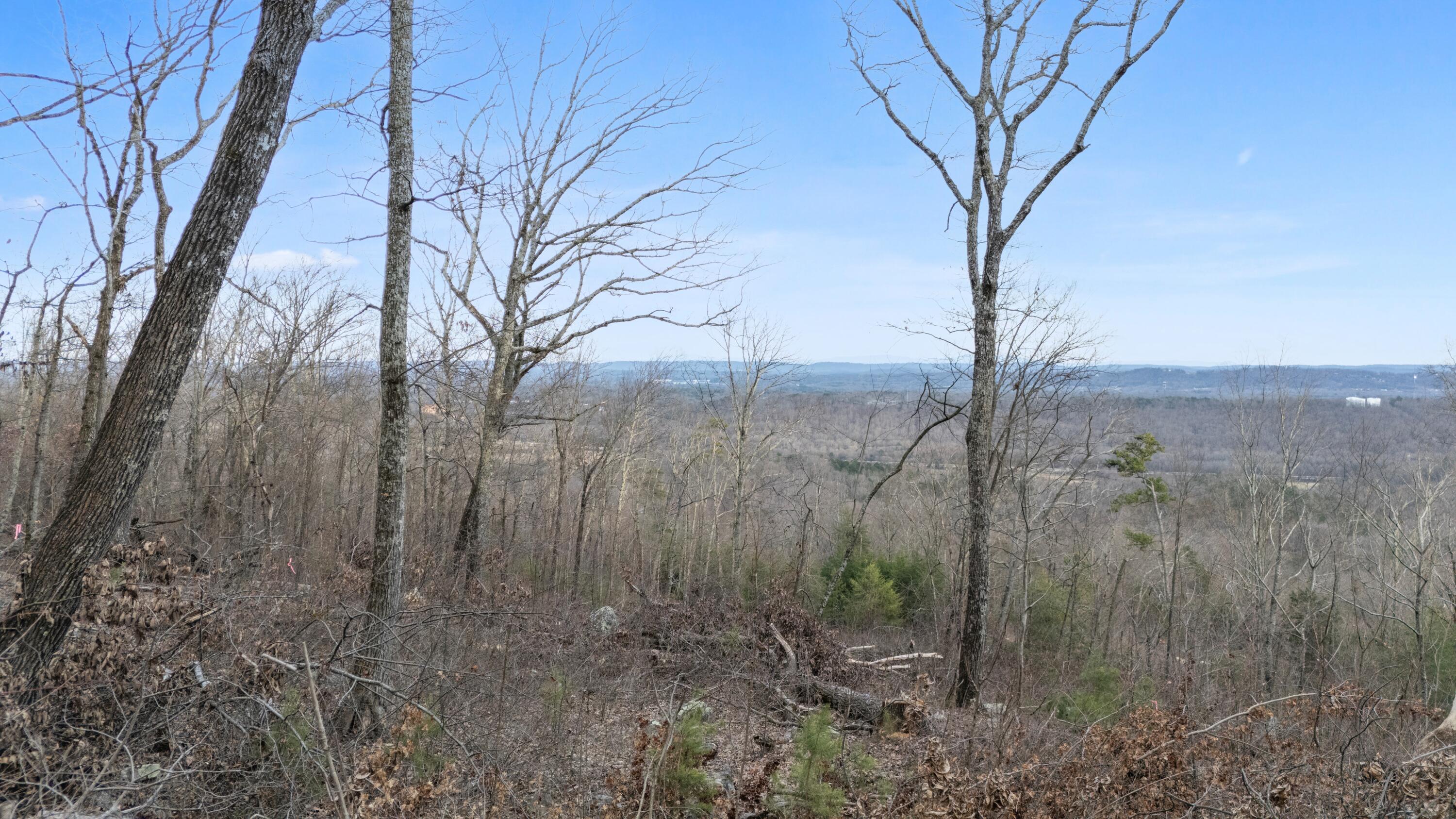 974 Bluff Ledge Trail