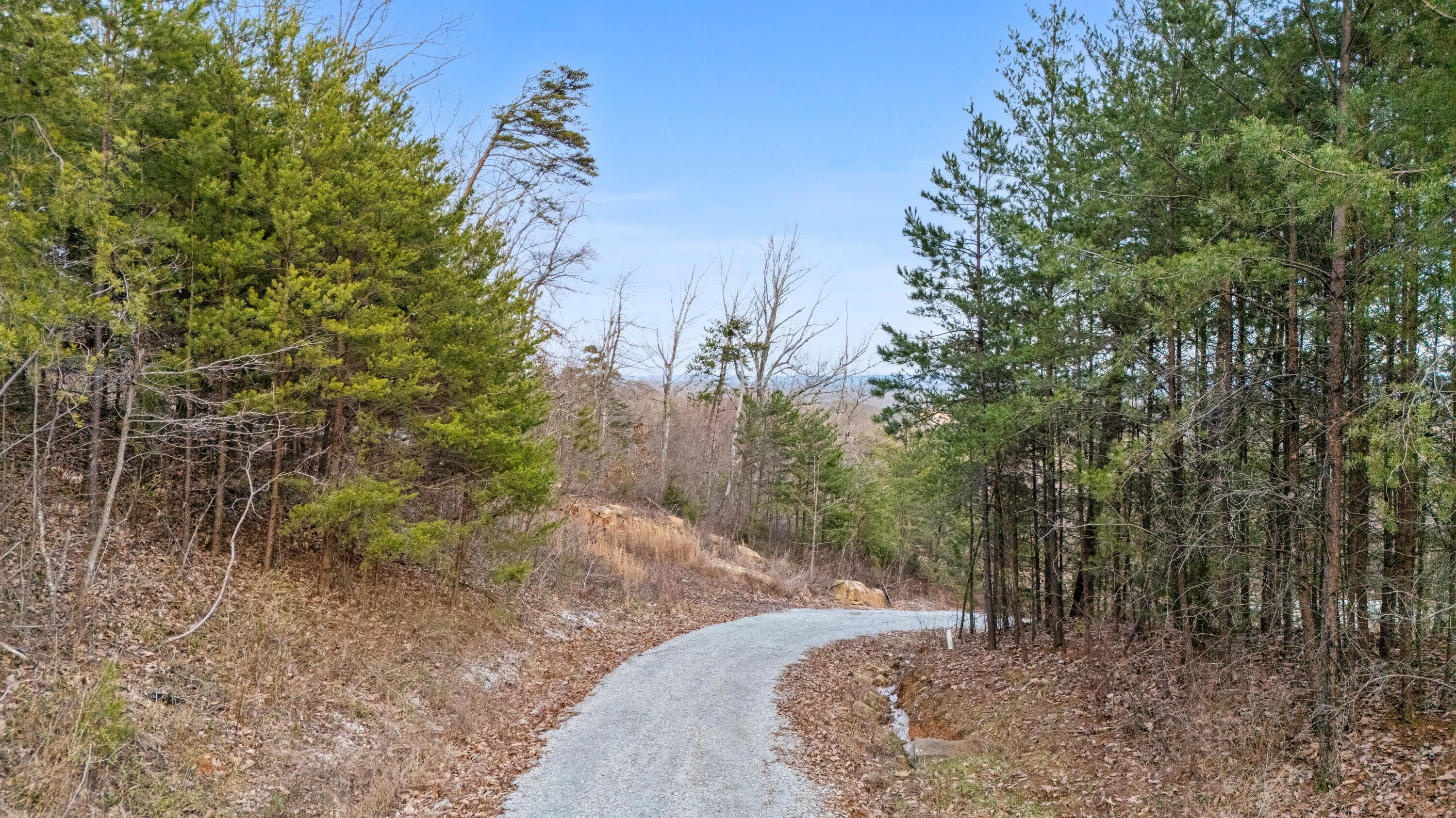 974 Bluff Ledge Trail