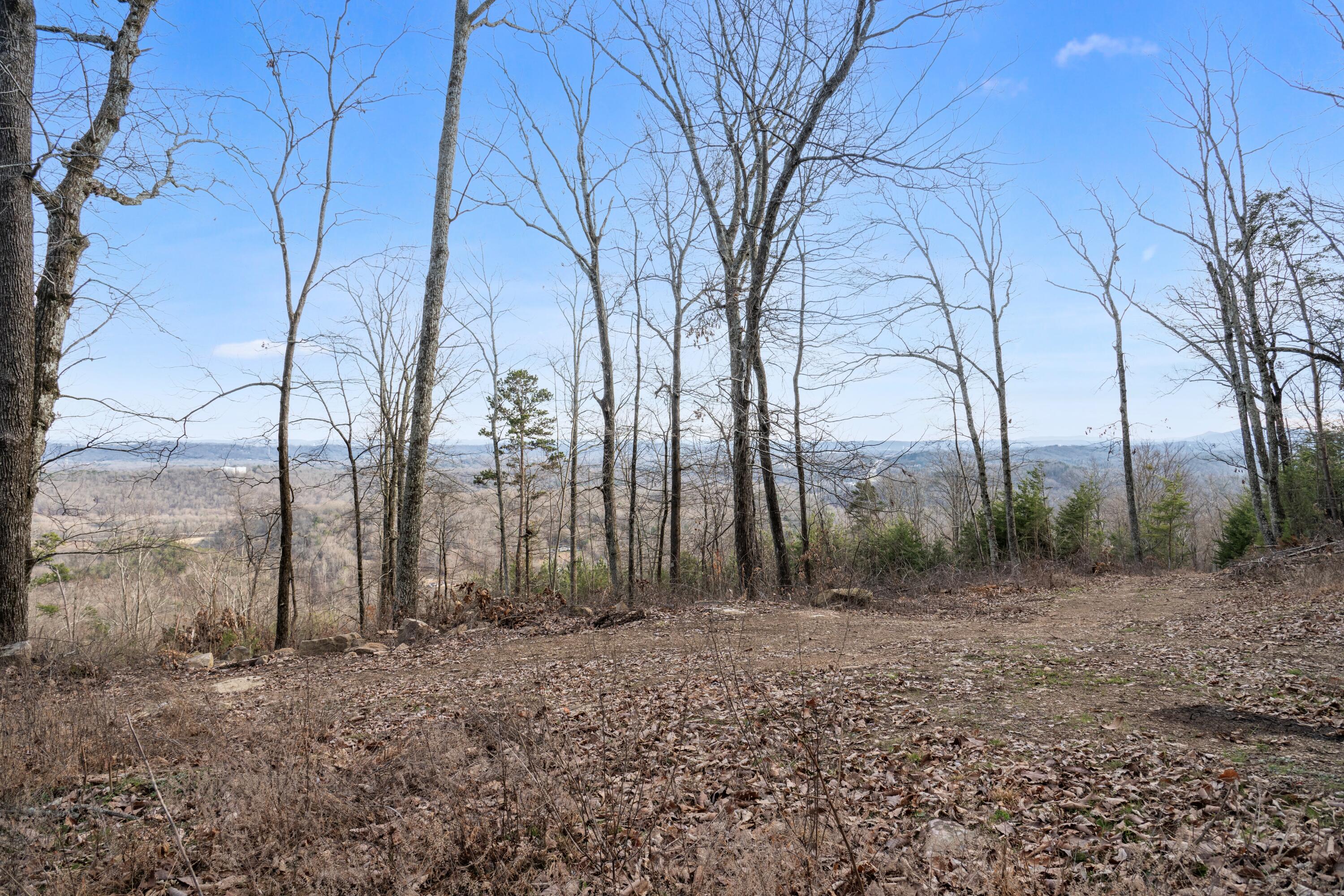 974 Bluff Ledge Trail