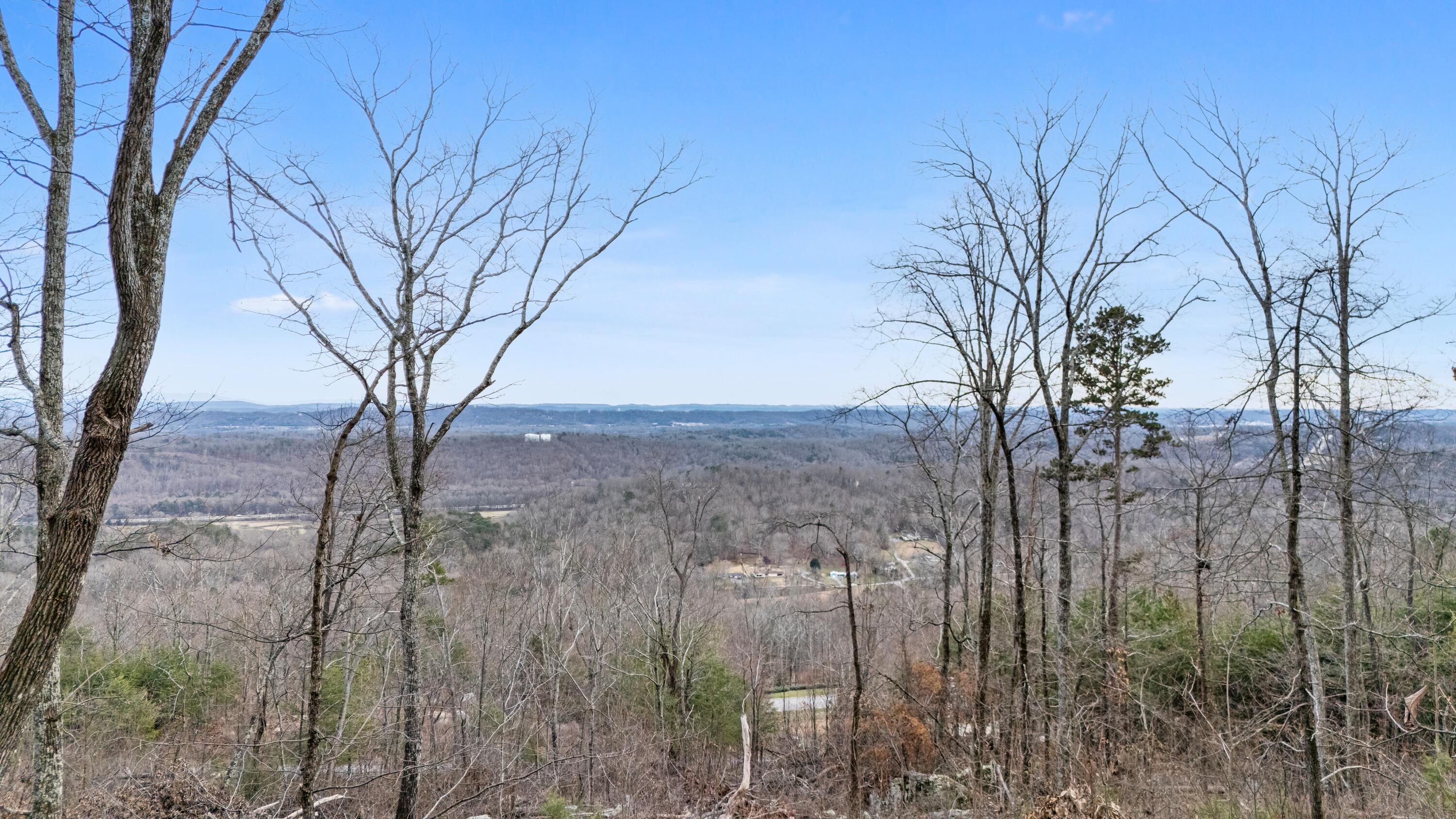 974 Bluff Ledge Trail