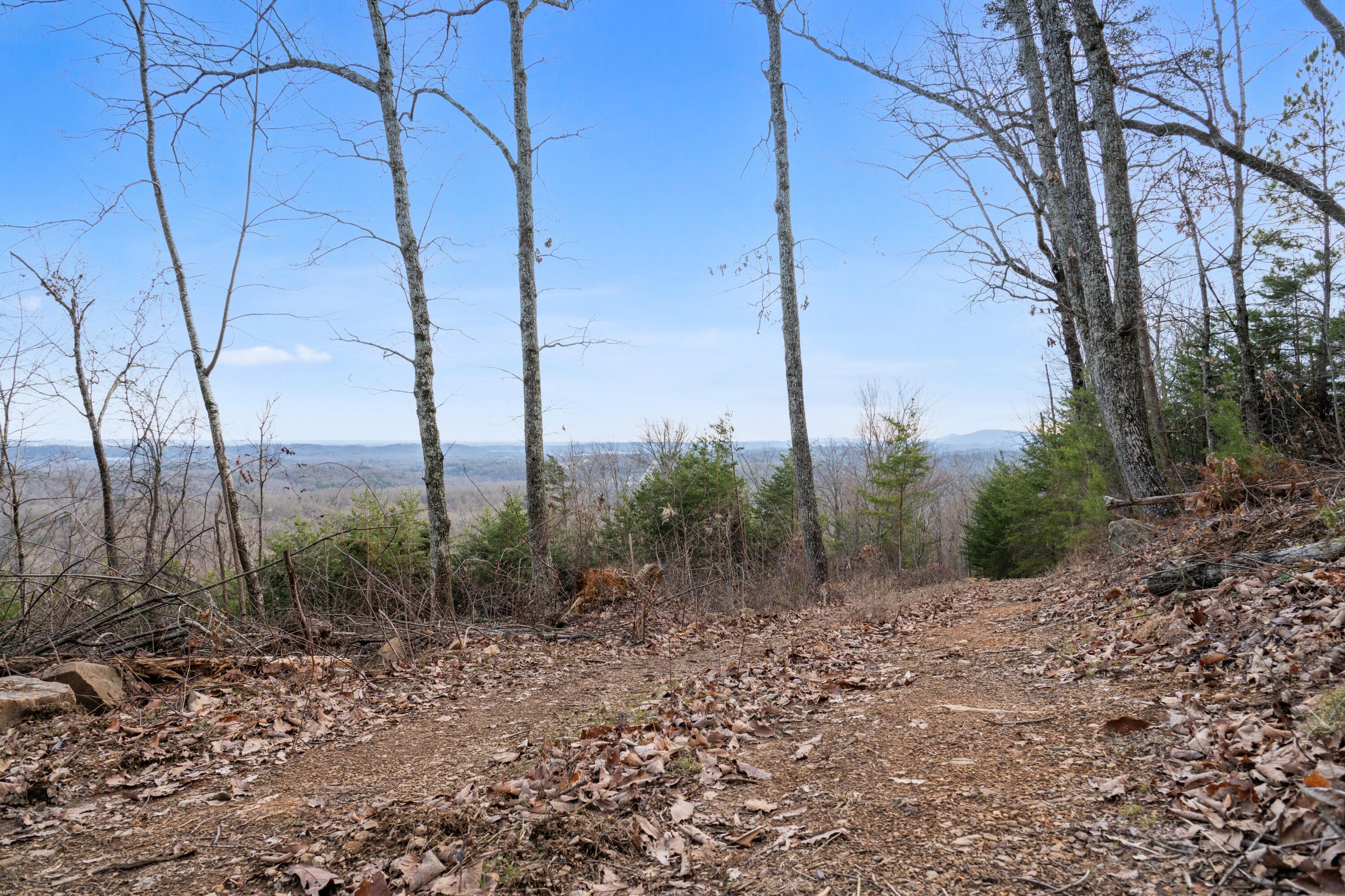 974 Bluff Ledge Trail