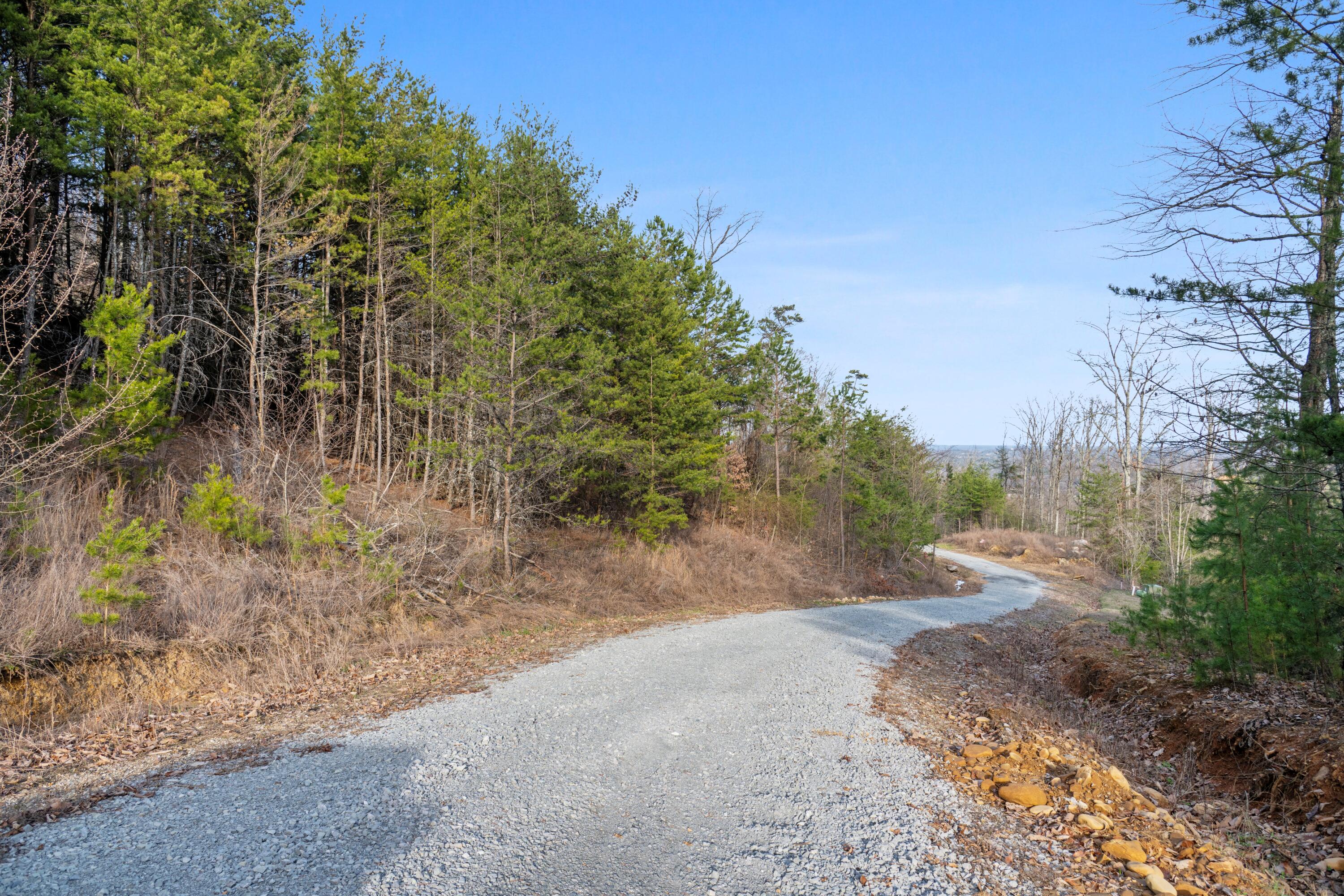 974 Bluff Ledge Trail