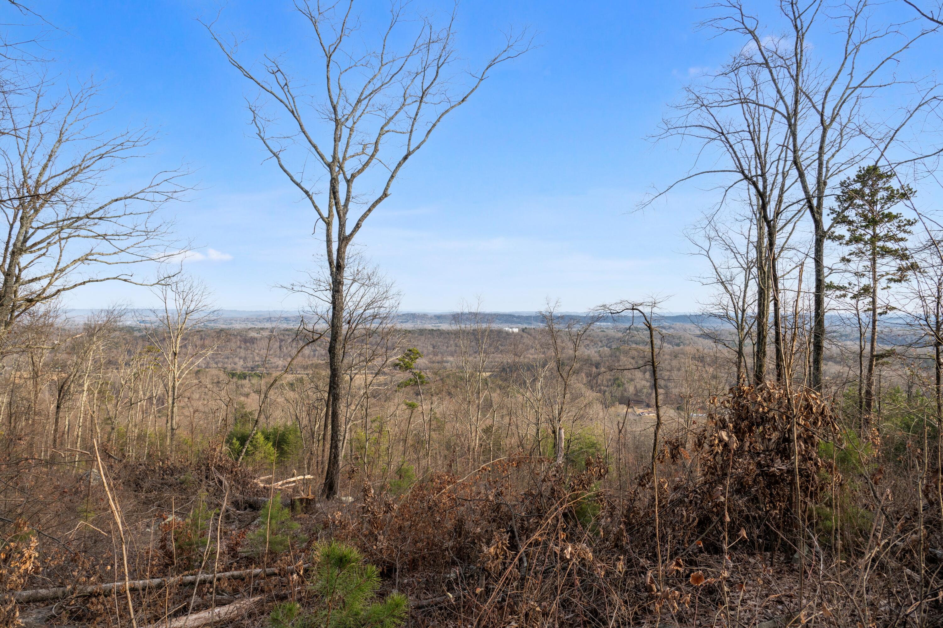974 Bluff Ledge Trail