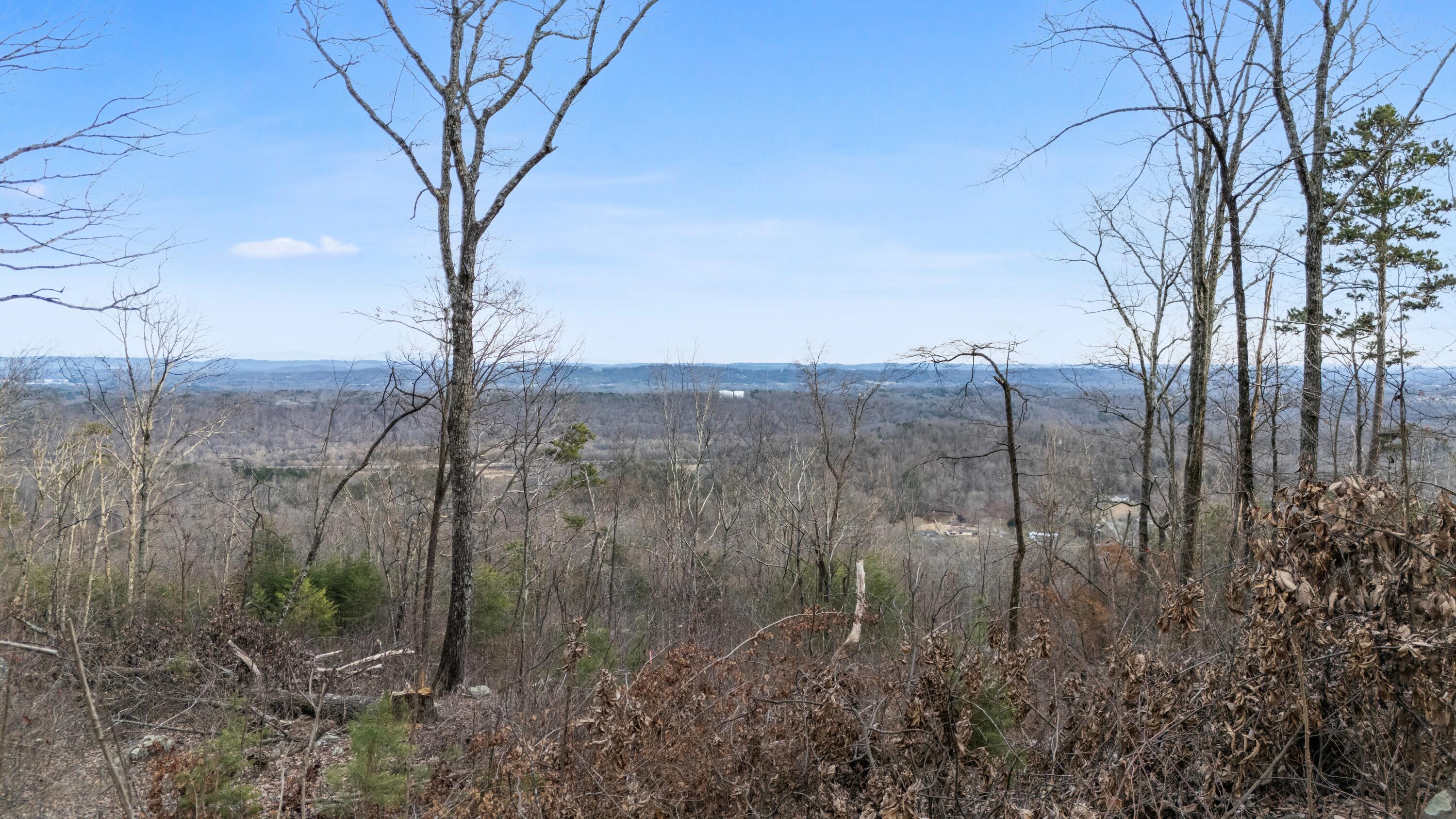 974 Bluff Ledge Trail