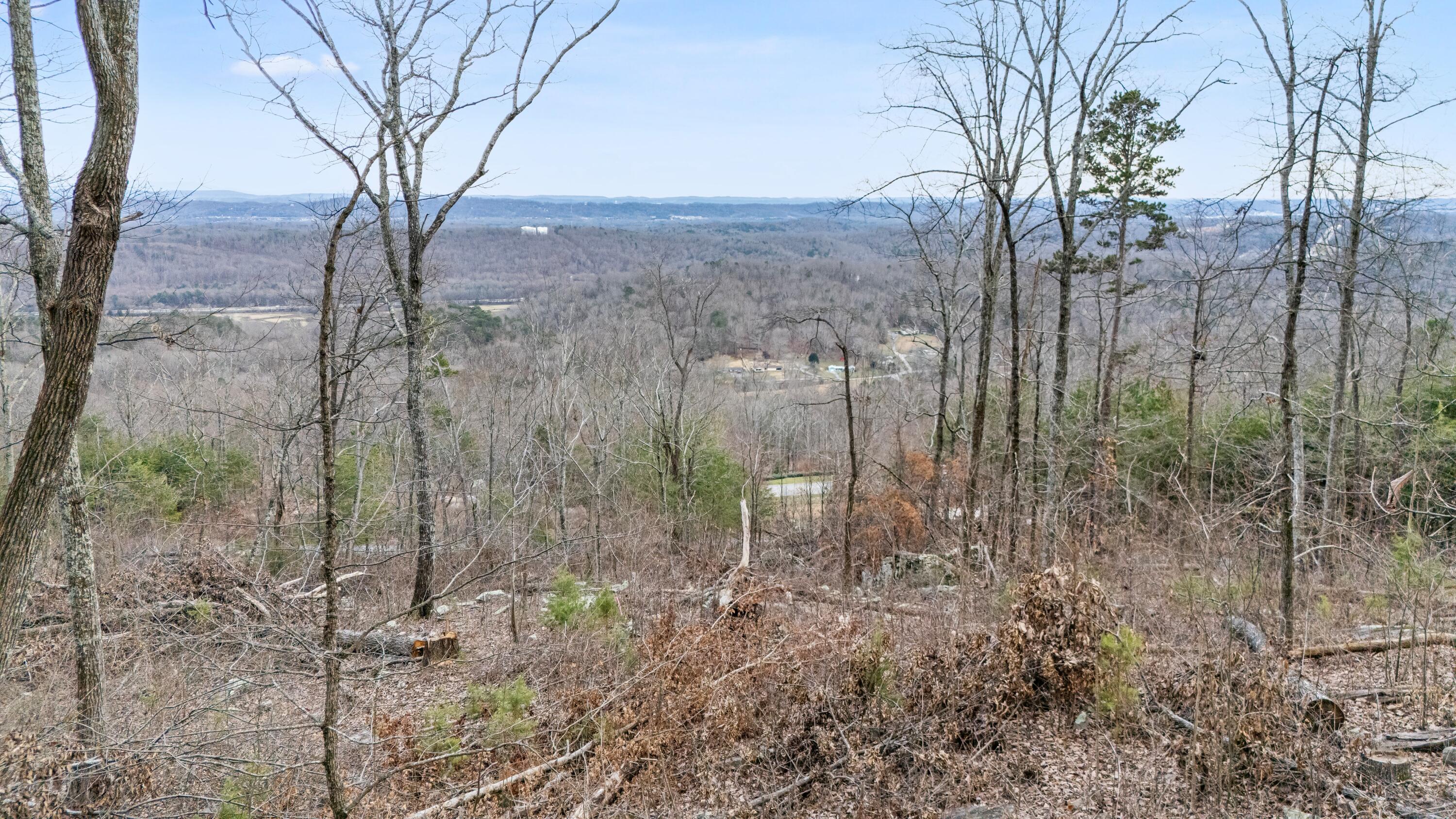 974 Bluff Ledge Trail